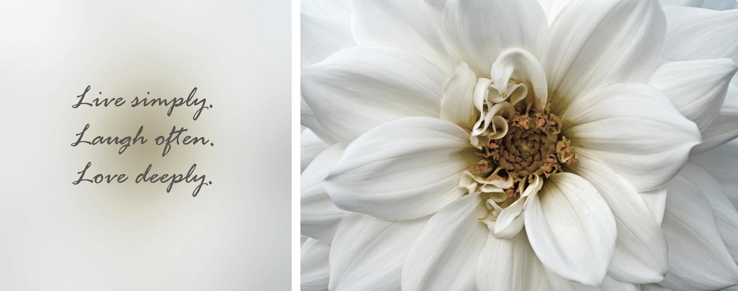 queence Leinwandbild »Live, Laugh & Love«, Blumen-Blumenbilder-Kunst-Modern günstig online kaufen