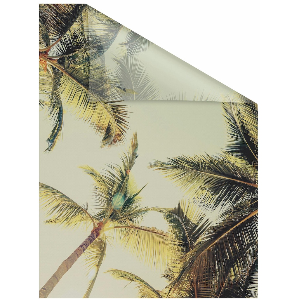 LICHTBLICK ORIGINAL Fensterfolie »Palmen und Sonne«, 1 St., blickdicht, strukturiertKlebepunkte