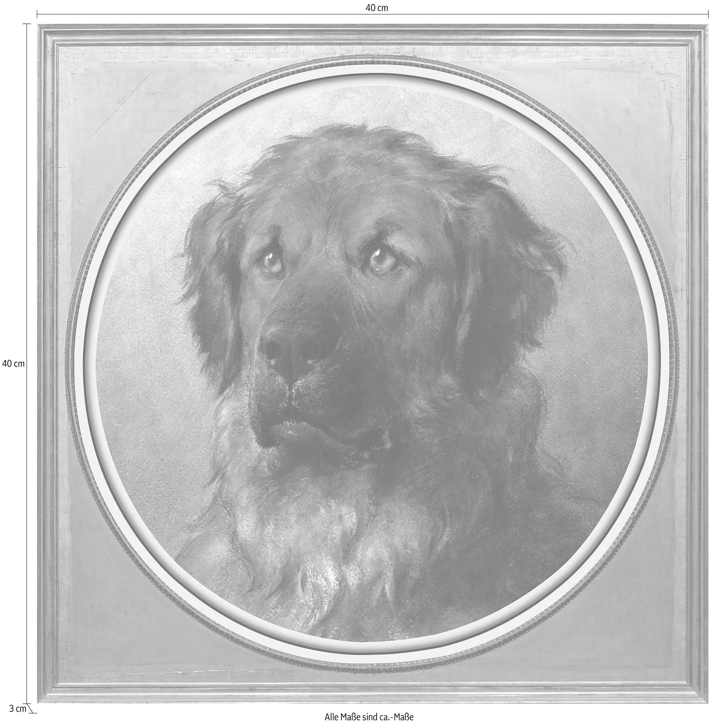 queence Acrylglasbild »Jagdhund«, Kunst-Gemälde-Tiere-Hund-Hunde-Hundebilder, Fine Art-Print in Galeriequalität