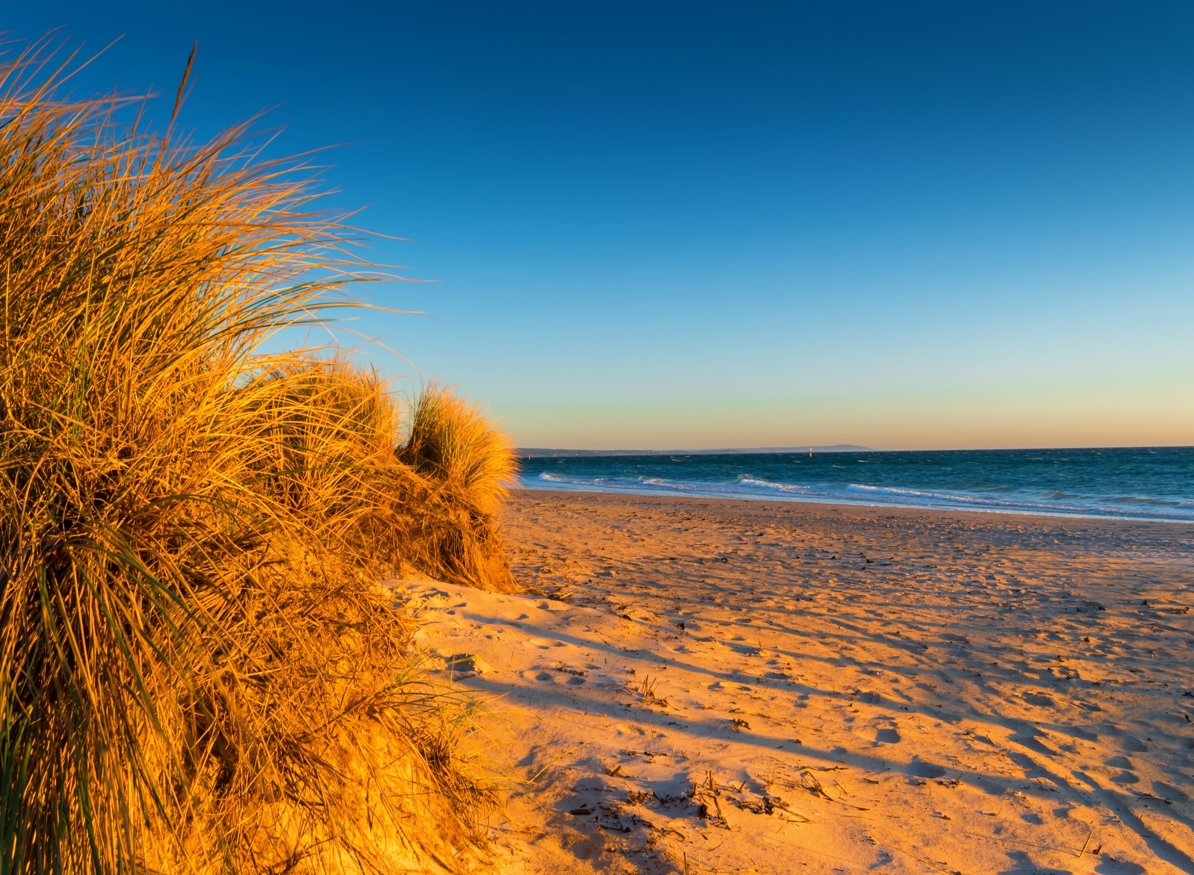 Papermoon Fototapete »Dunes Chelsea Beach Australia« glatt günstig online kaufen