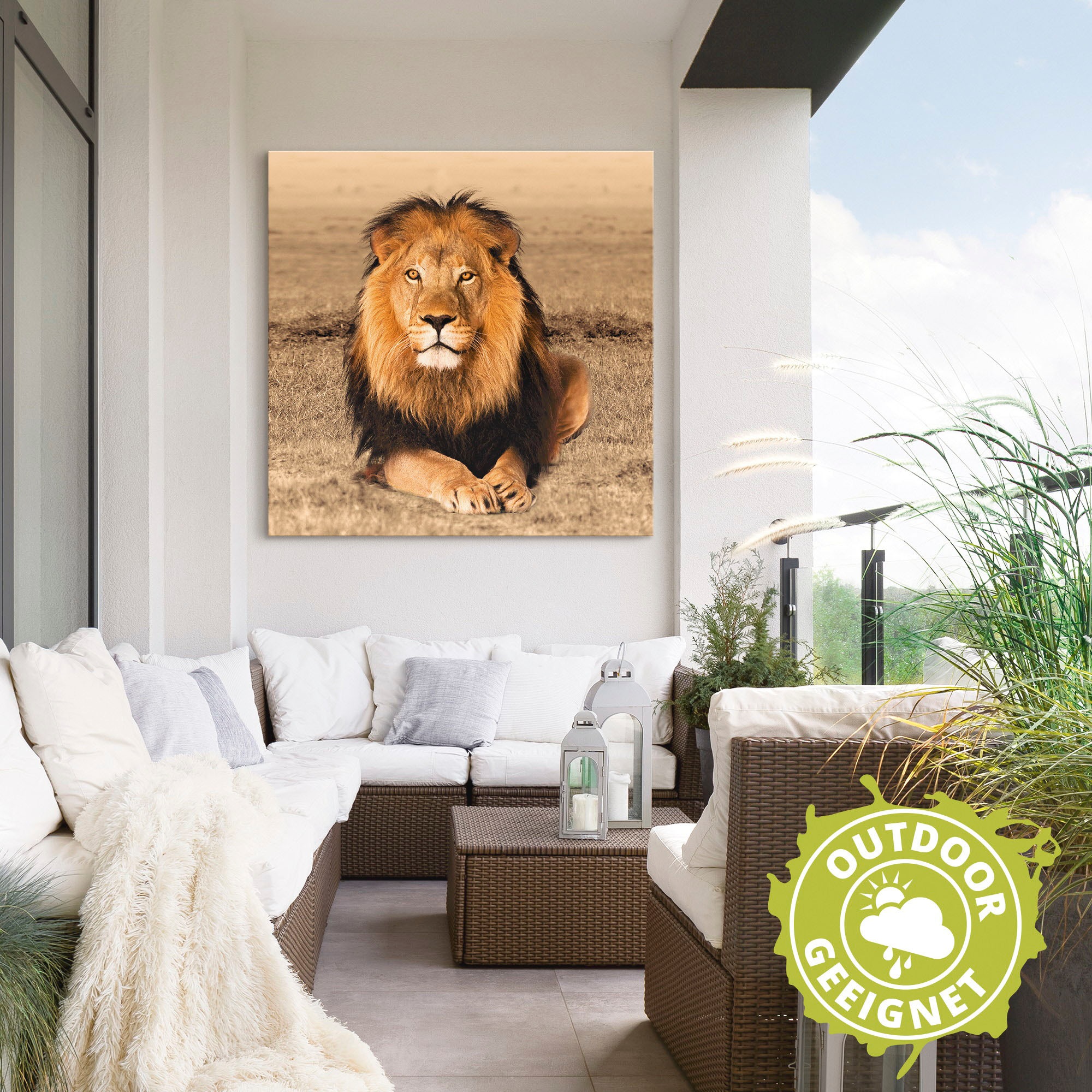 Artland Wandbild »Löwe«, Wildtiere, Größen Poster Leinwandbild, versch. auf Wandaufkleber Raten bestellen (1 Alubild, in St.), als oder