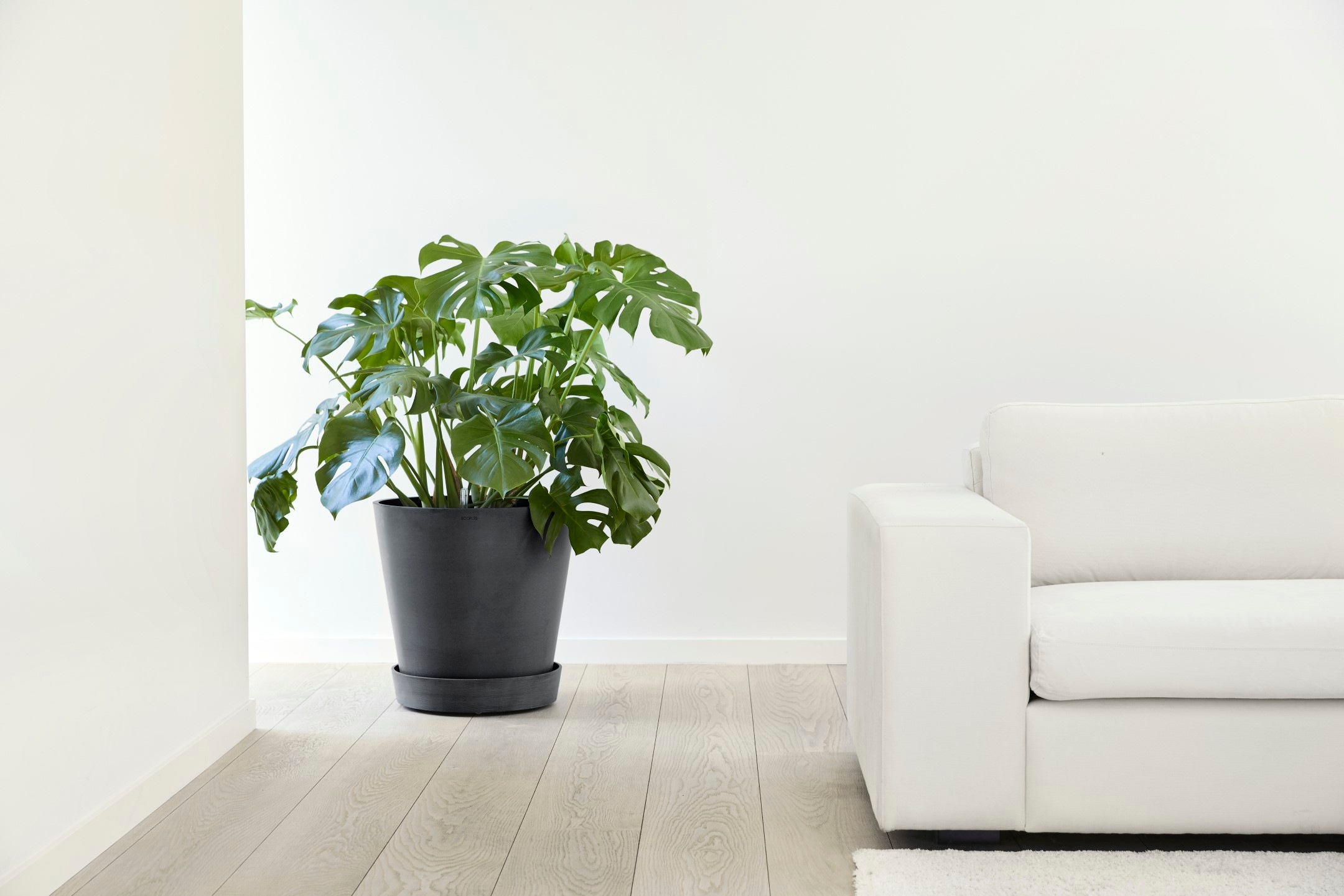 ECOPOTS Blumentopfuntersetzer »SAUCER WHEELS Dark Grey« BxTxH: 41,5x41,5x9 cm