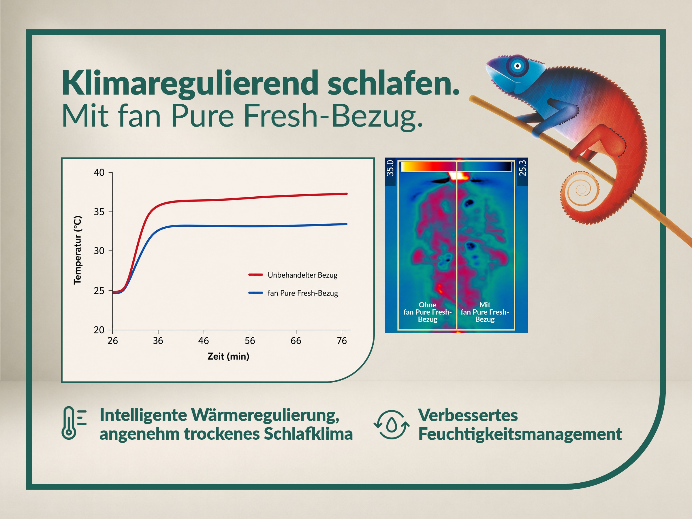 fan Taschenfederkernmatratze »fan Flexible Duo T, Matratze 90x200 cm, 140x200 cm & mehr, in H2/H3« 22 cm hoch 1.034 Federn 1 Stk. tlg. Wendematratze mit Pure Fresh-Bezug, 1034 Federn (bei 100x 200 cm)