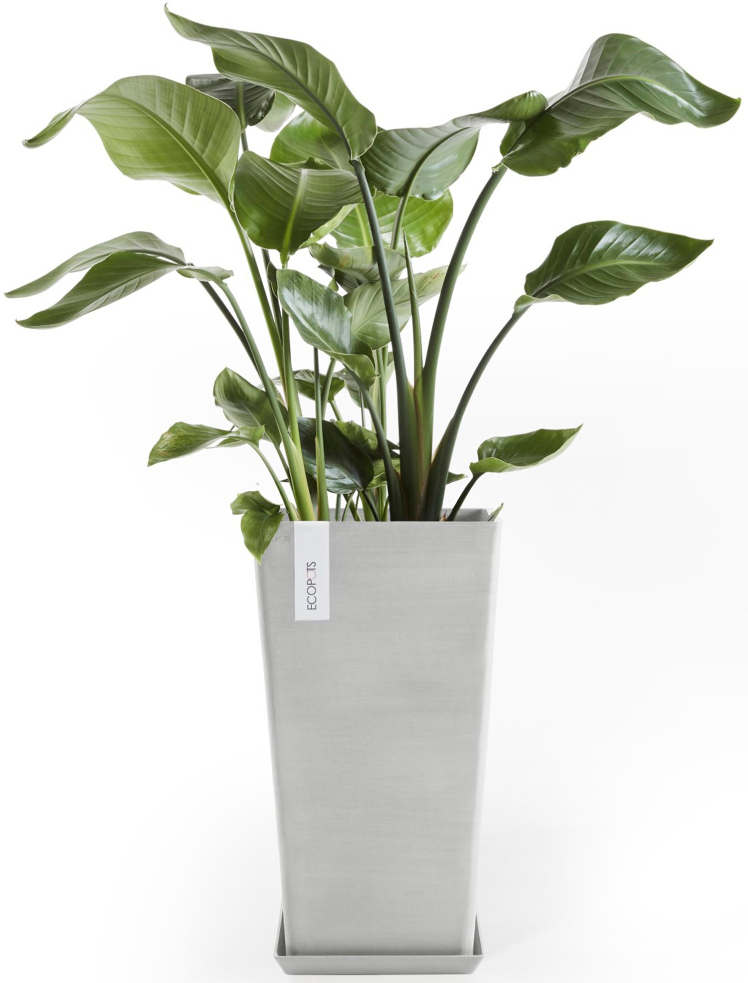 ECOPOTS Blumentopf »Rotterdam halbhoch 56 Weißgrau« für innen und außen: frostsicher, bruchsicher und lichtbeständig