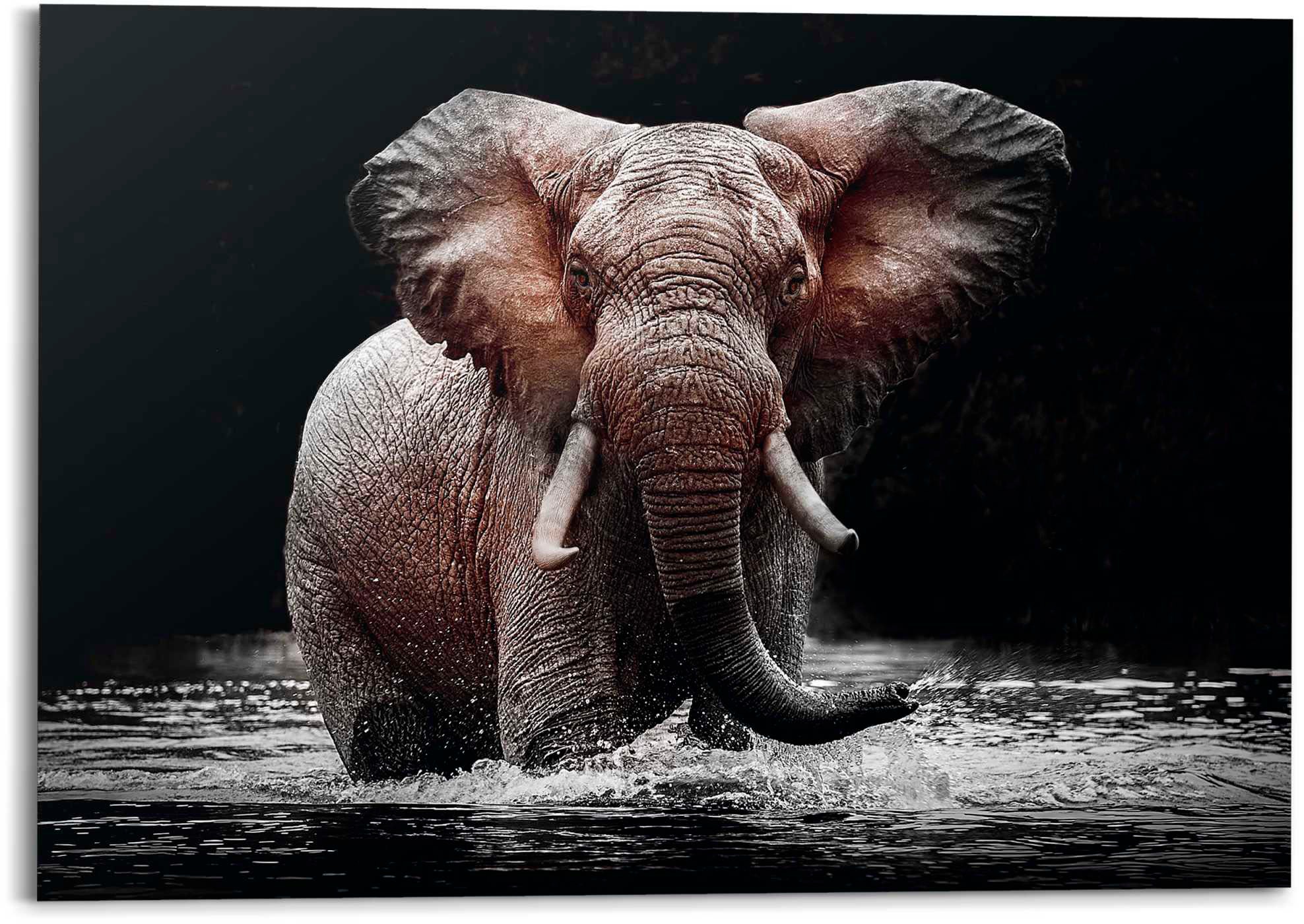 Reinders Deco-Panel "Elefant" günstig online kaufen