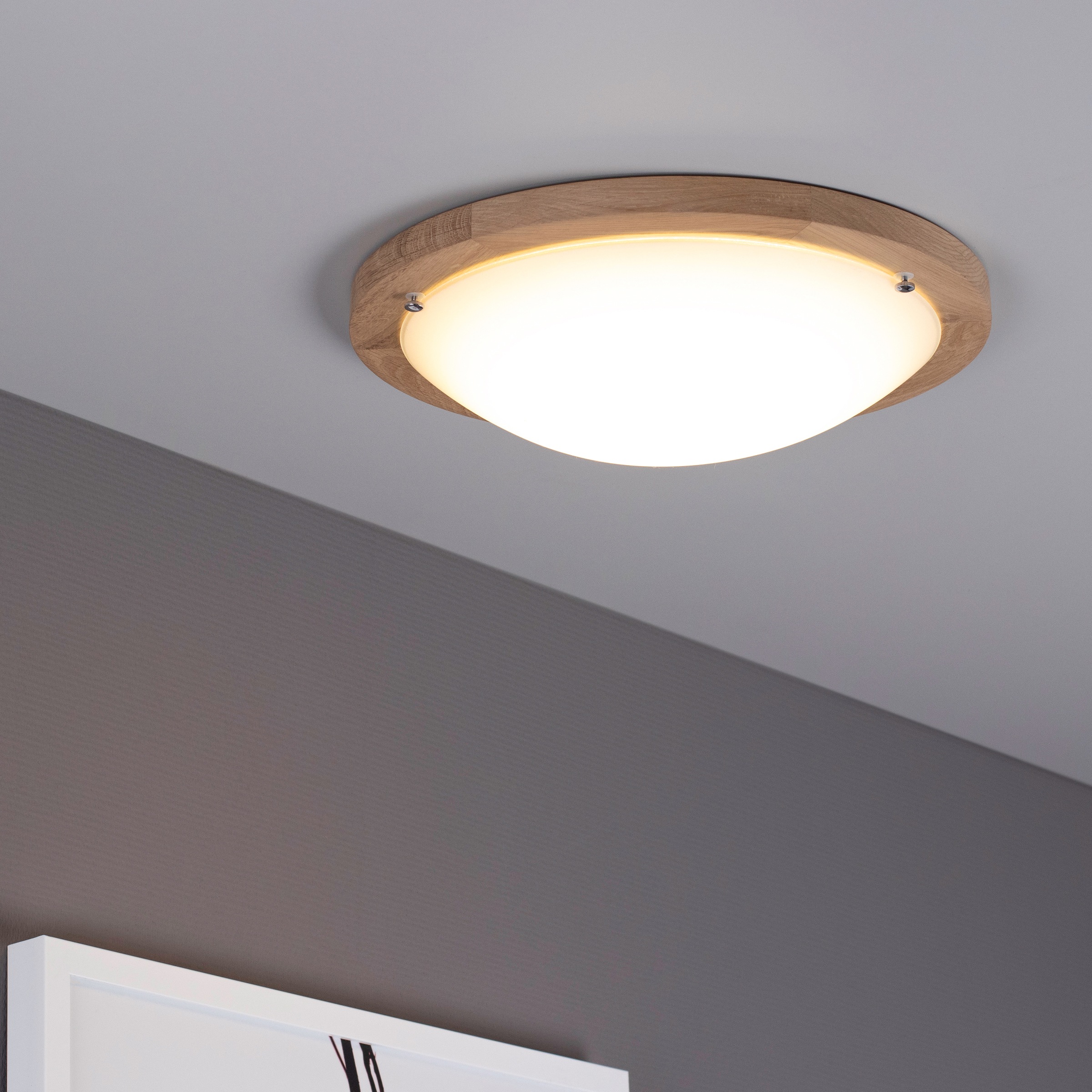 SPOT Light LED Deckenleuchte »FRIDA«, 1 flammig, Leuchtmittel LED-Board   L günstig online kaufen