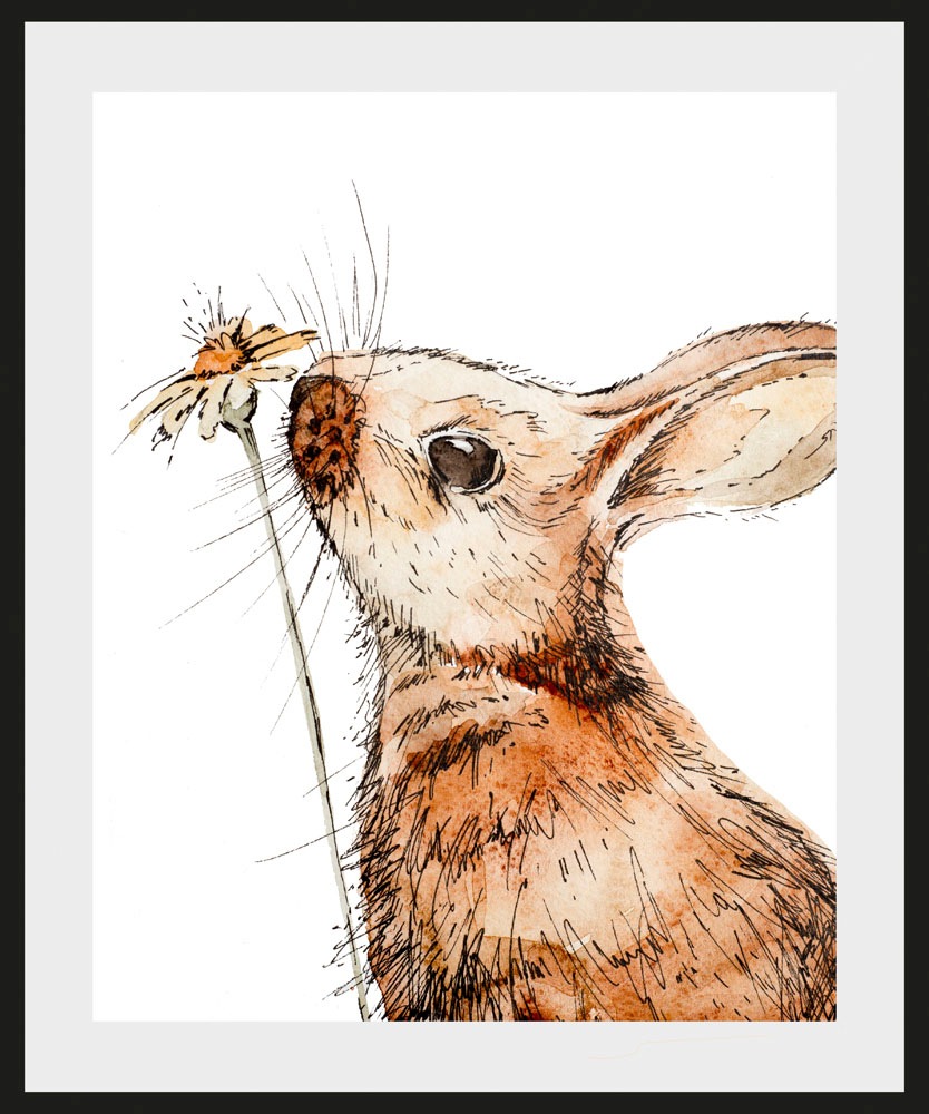 queence Bild »Agilo«, Hase-Hasen-Haustiere-Blumen-Pflanzen-Pflanzenbilder, günstig online kaufen