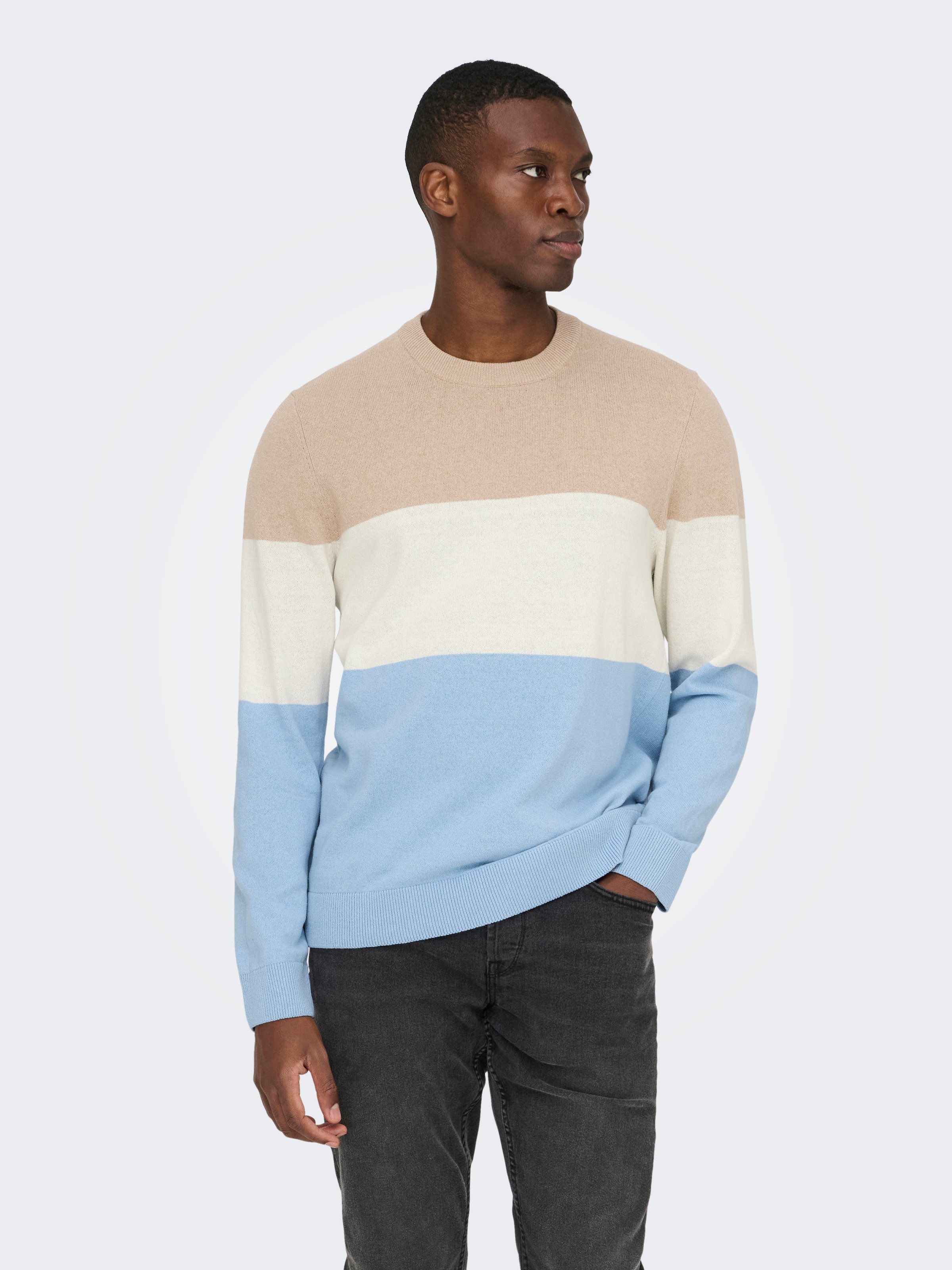 ONLY & SONS Rundhalspullover »ONSREX LIFE REG 12 CREW KNIT«