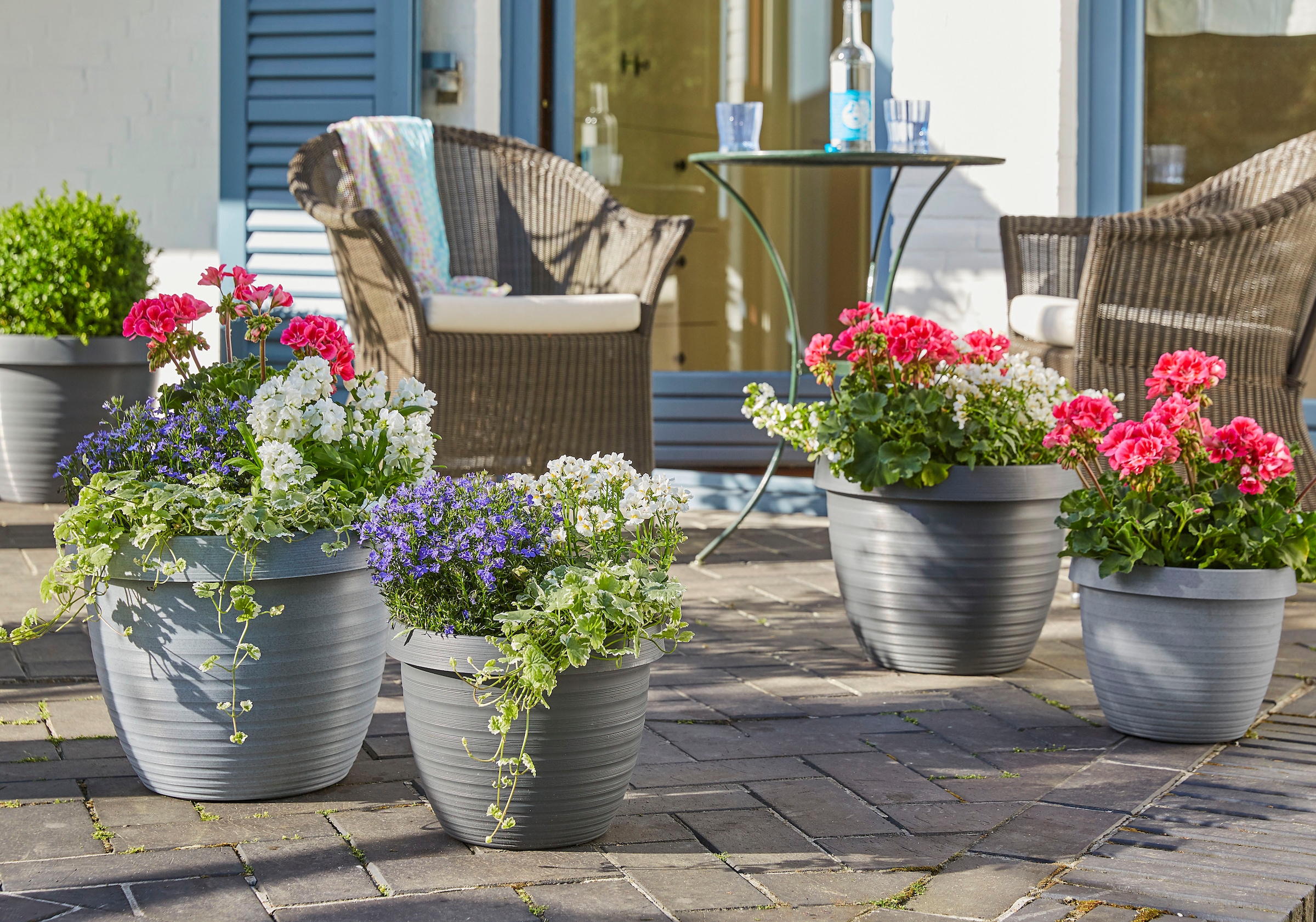 Scheurich Blumentopf »48/270 COUNTRY STAR 48«