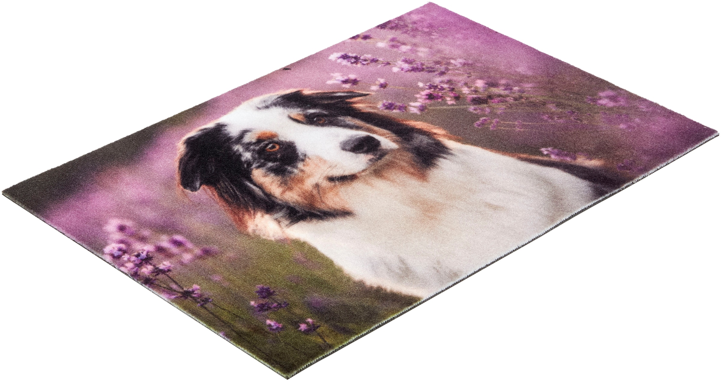 ASTRA Fußmatte »Deco Print 105« rechteckig 5 mm Höhe Sauberlaufmatte, Türmatte, waschbar, Eingangsbereich, rutschfest