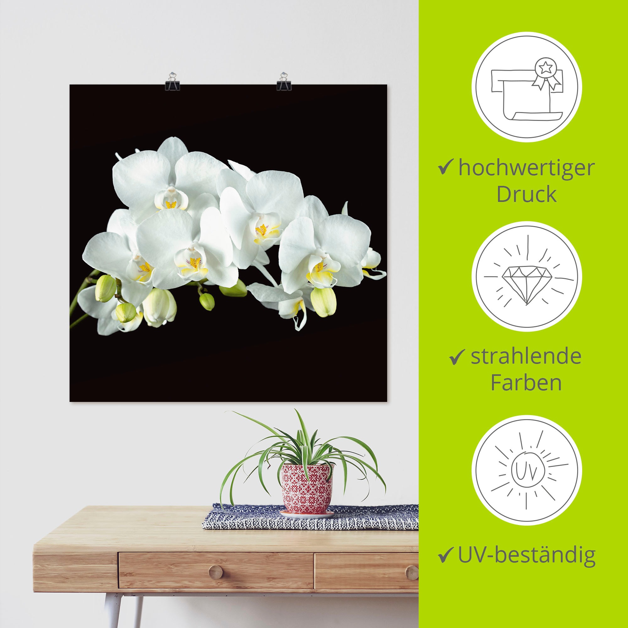 Artland Wandbild »Weiße Orchidee auf schwarzem Hintergrund«, Blumen, (1 St.), als Leinwandbild, Poster, Wandaufkleber in verschied. Größen