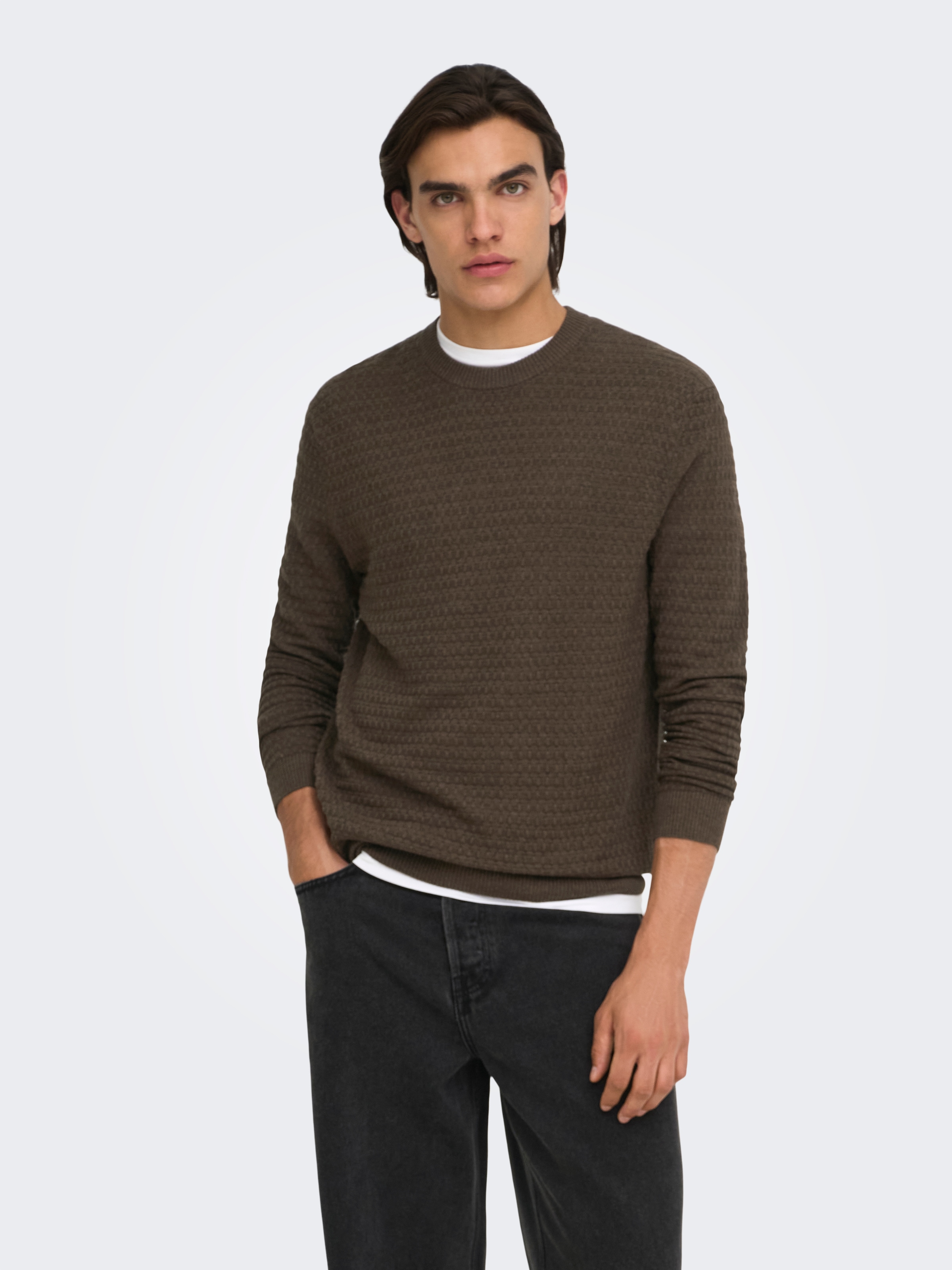 ONLY & SONS Rundhalspullover »ONSLOUI LS STRUCTURE CREW REG NOOS« Baumwollmischung, regular fit