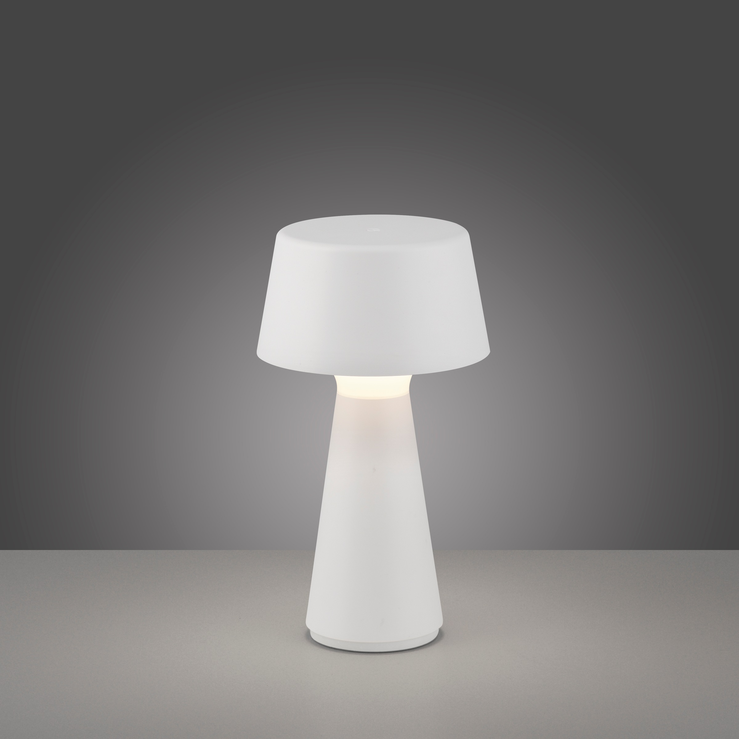 JUST LIGHT Tischleuchte »ABERA«, 1 flammig, Leuchtmittel LED-Modul | LED fest integriert, Akkuleuchte