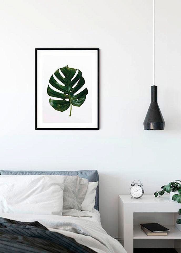 Komar Bild »Monstera Leaf« Blätter | Pflanzen 1 Stk. tlg. Wandbild zur Dekoration - ohne Rahmen