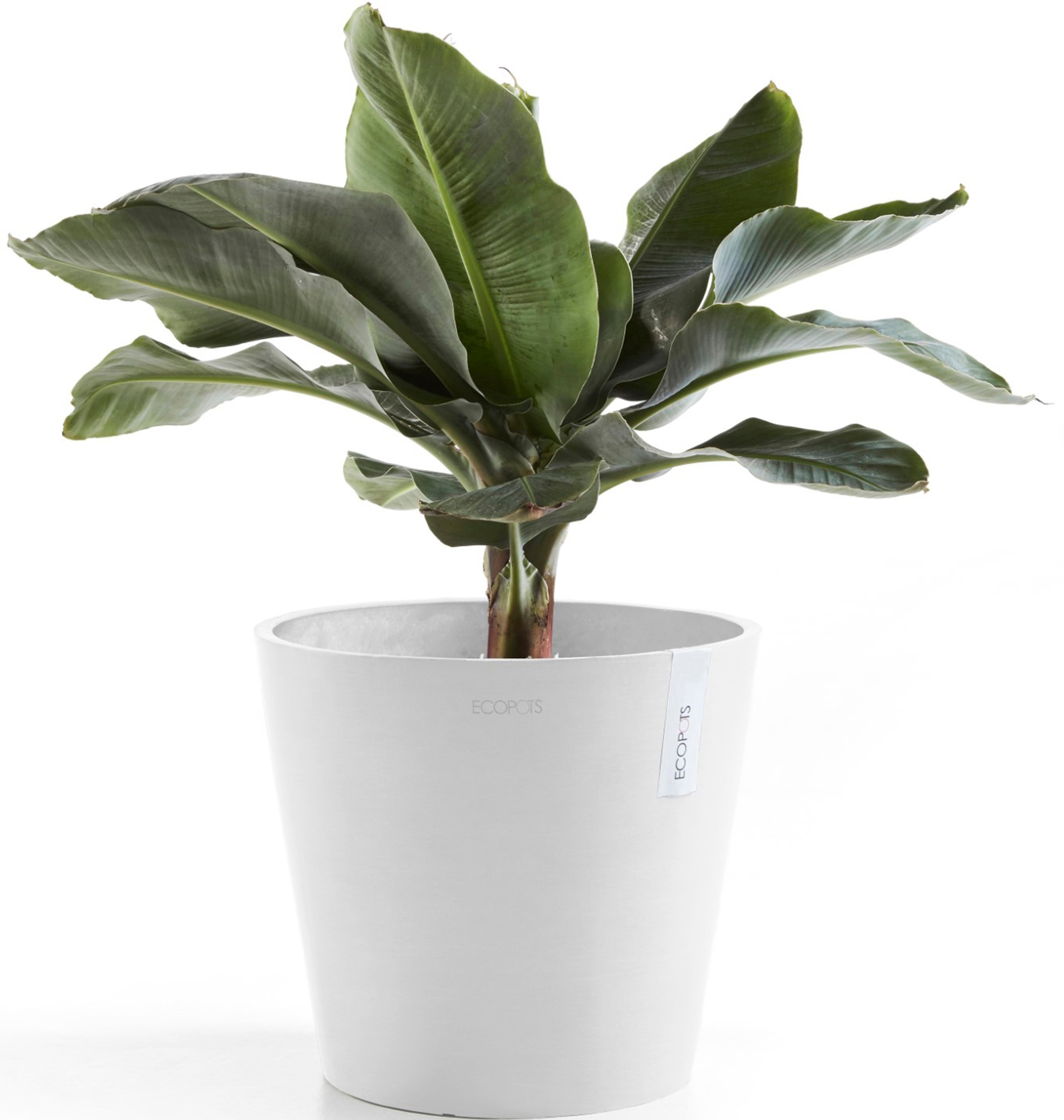 ECOPOTS Blumentopf »Amsterdam 30 Weiß«, für innen und außen: frostsicher, bruchsicher und lichtbeständig