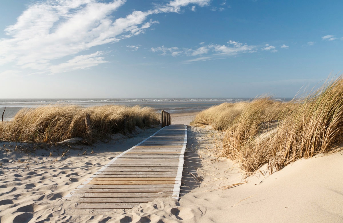 Papermoon Fototapete »Strand« günstig online kaufen