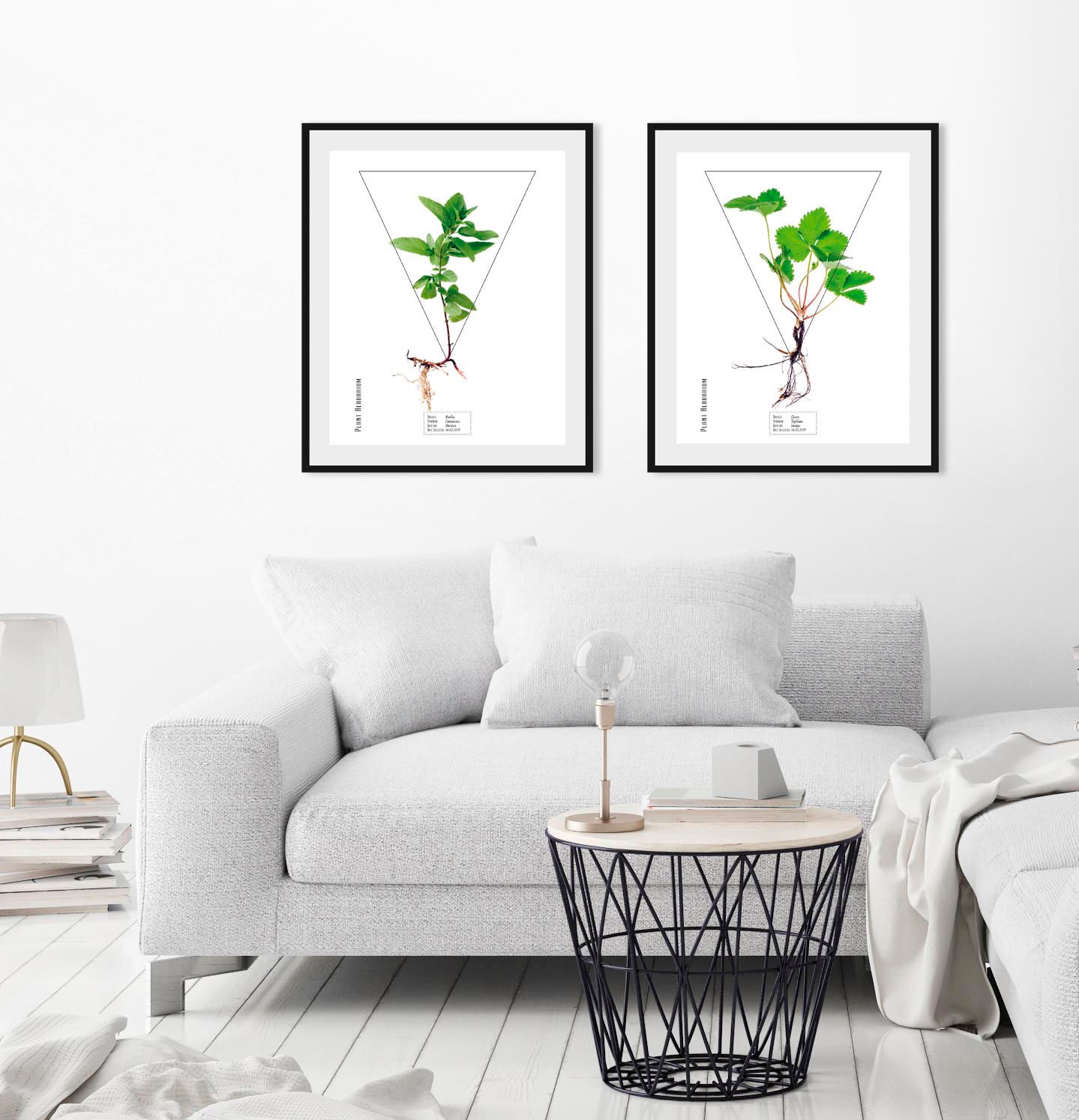 queence Bild »Mentha«, Pflanzen-Pflanzenbilder-Schriftzug, (1 St.), HD Prem günstig online kaufen