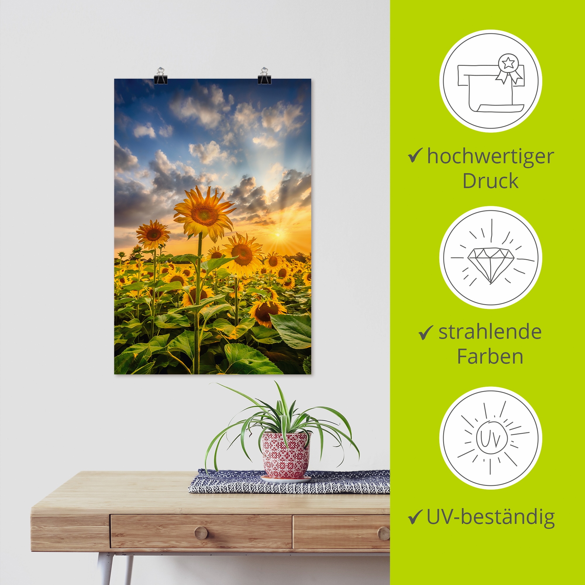 Artland Wandbild »Sonnenblumen im Sonnenuntergang«, Blumenbilder, (1 St.), als Leinwandbild, Poster in verschied. Größen