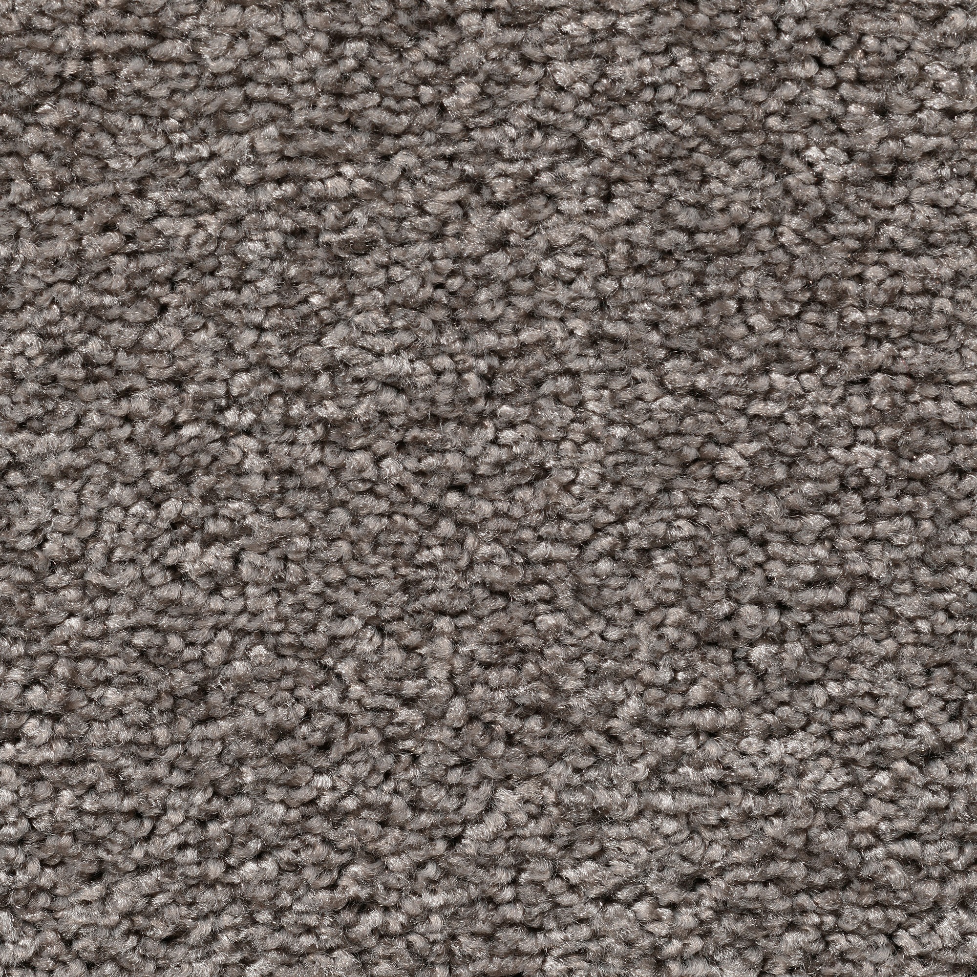 Vorwerk Teppichboden »Passion 1004«, rechteckig, 8 mm Höhe, Meterware, Breite 400 oder... kaufen