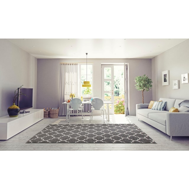 andas Teppich »Valon«, rechteckig, Indoor und Outdoor geeignet, Wohnzimmer  bequem und schnell bestellen