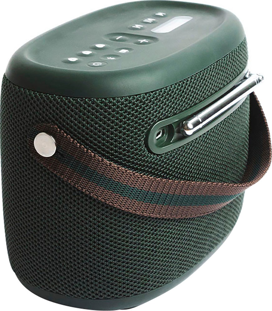 Pure Portable-Lautsprecher »Woodland«