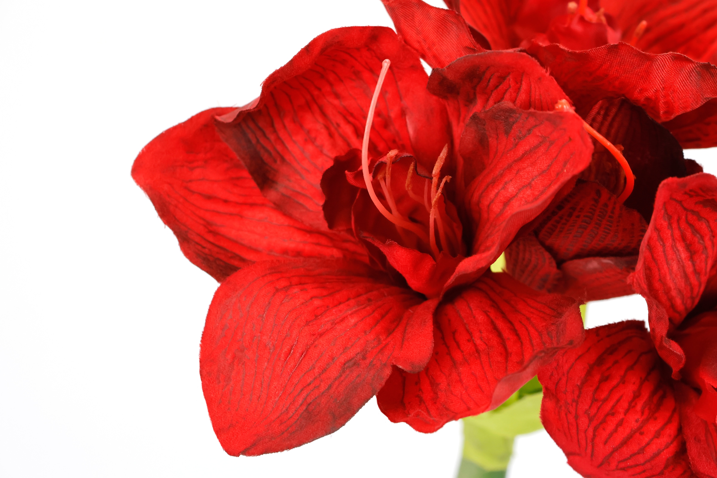 I.GE.A. Kunstblume »Amaryllis künstlich« 3er Set Seidenblume Weihnachtsdeko Weihnachtsblume Blumen Zweig