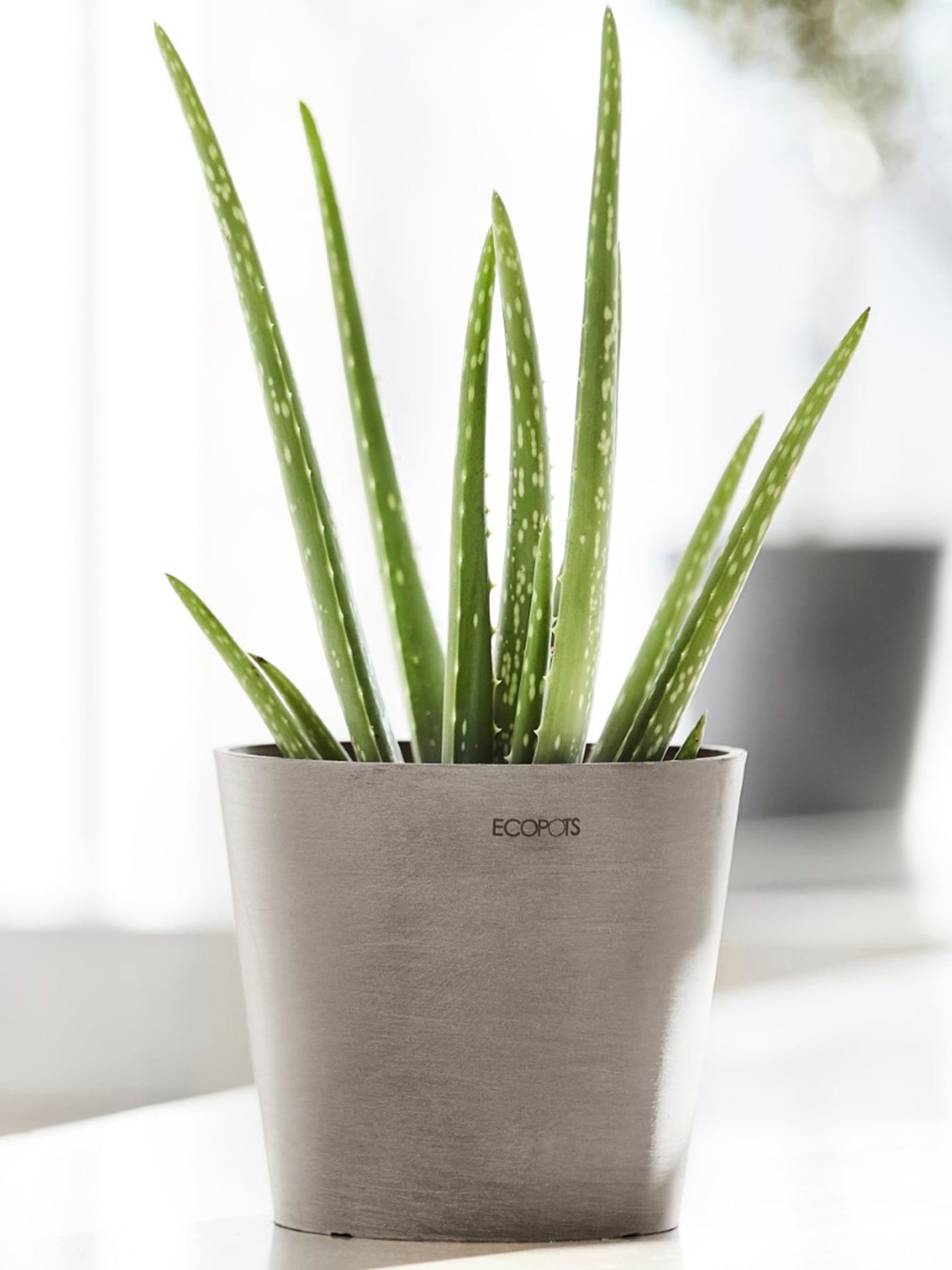ECOPOTS Blumentopf »Amsterdam Mini 17 Taupe«, für den Innenbereich