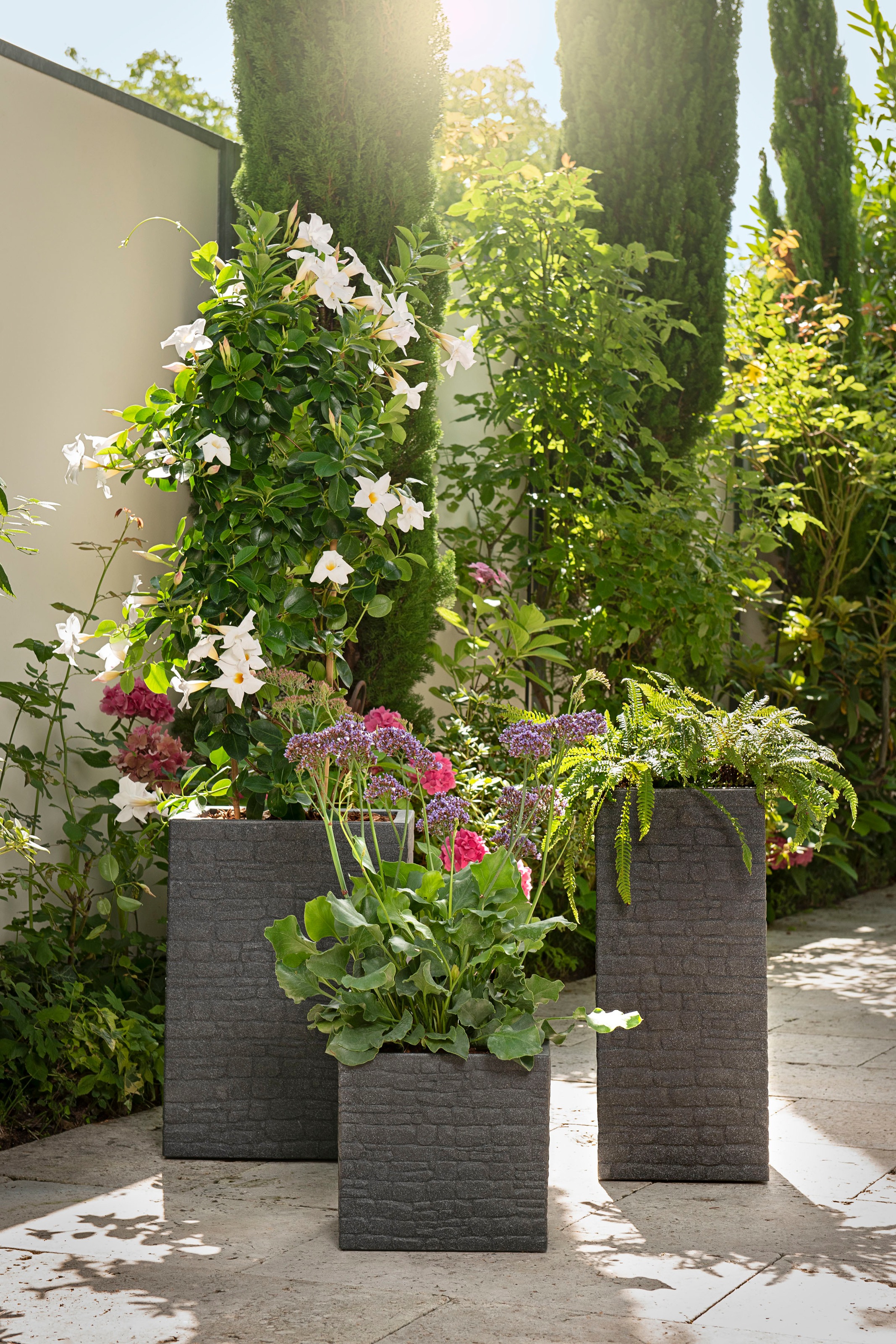 Scheurich Blumentopf »54/247 MURETTO HIGH«