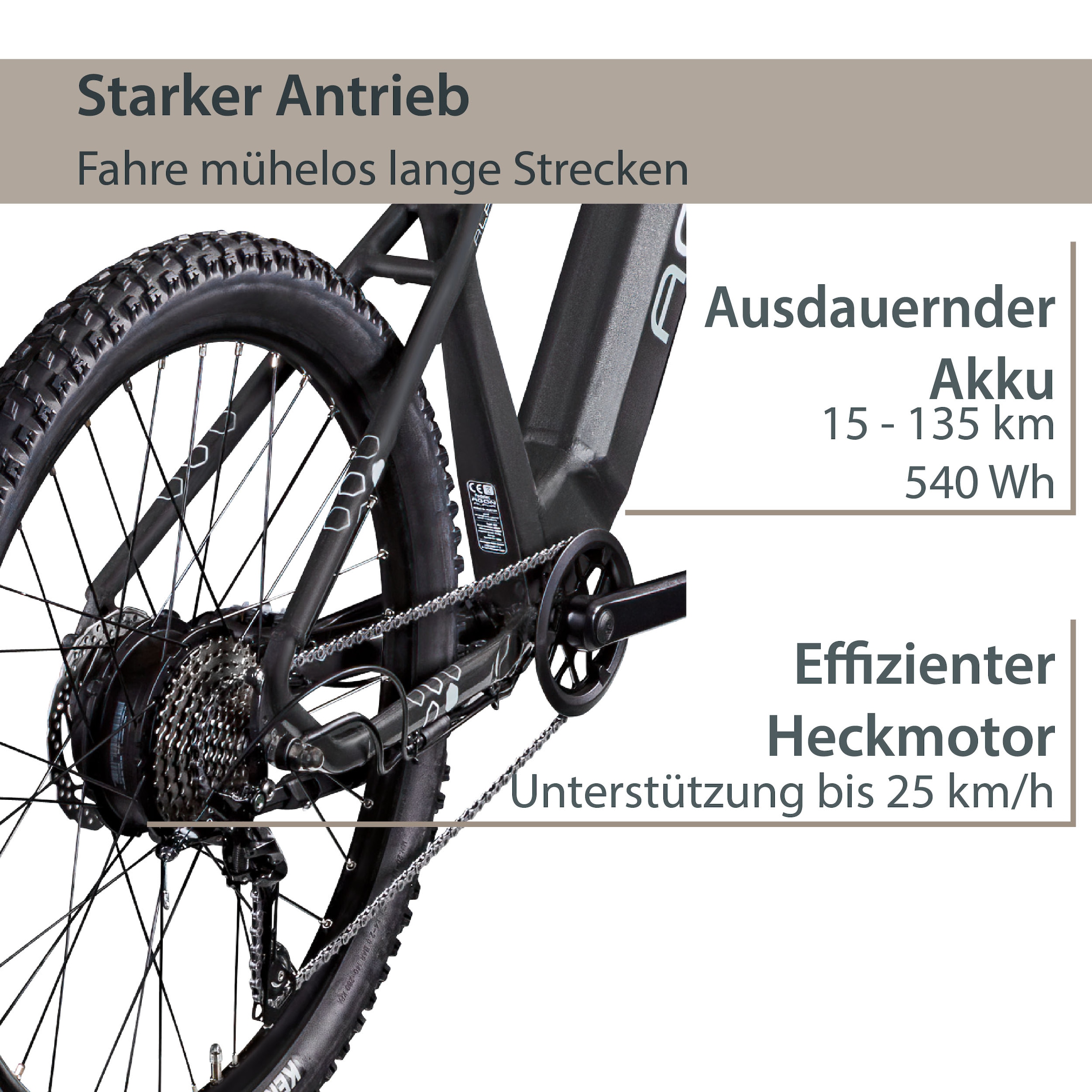 AGON E-Bike »Alpha«, 10 Gang, Deore SGS T6000, Heckmotor 250 W, Pedelec, Elektrofahrrad für Damen u. Herren, MTB