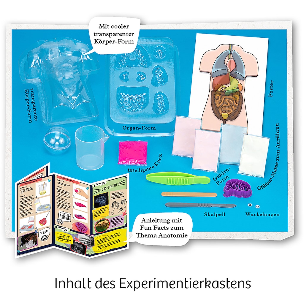 Kosmos Experimentierkasten »Fun Science Glibber-Organe«