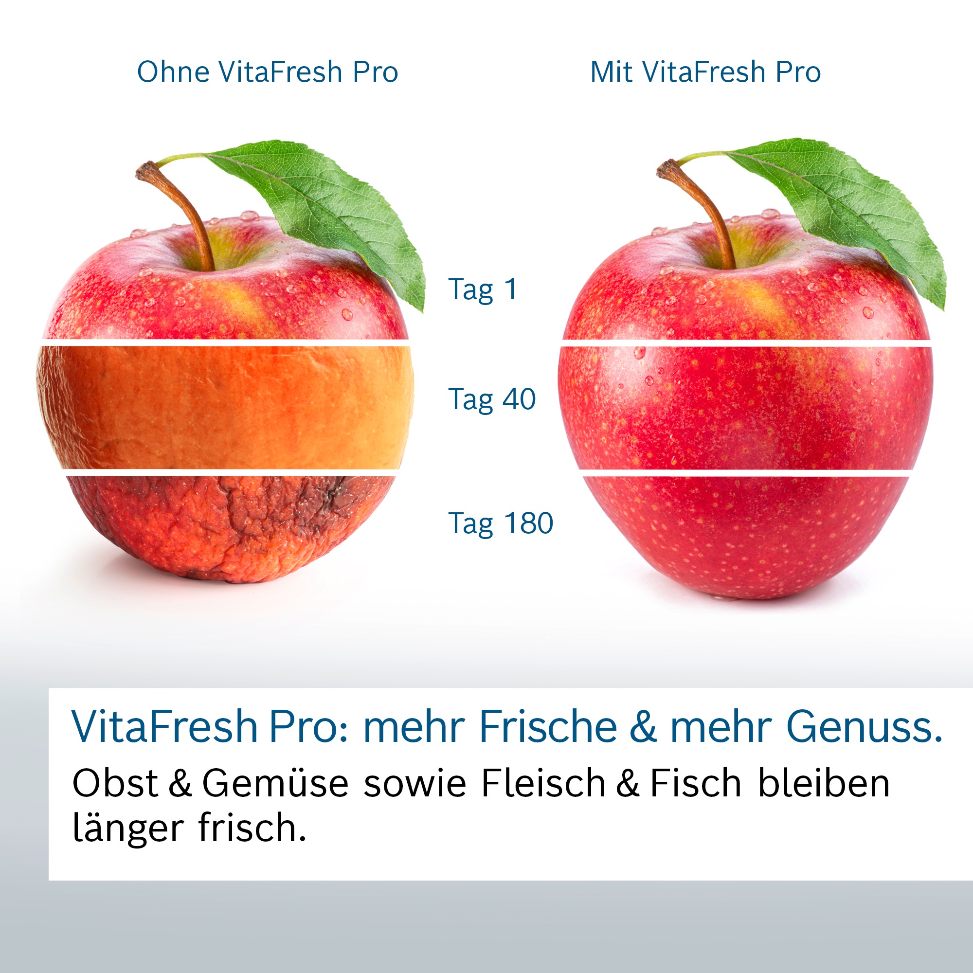 BOSCH Einbaukühlschrank Serie 8 »KIF82PFE0« günstig online kaufen