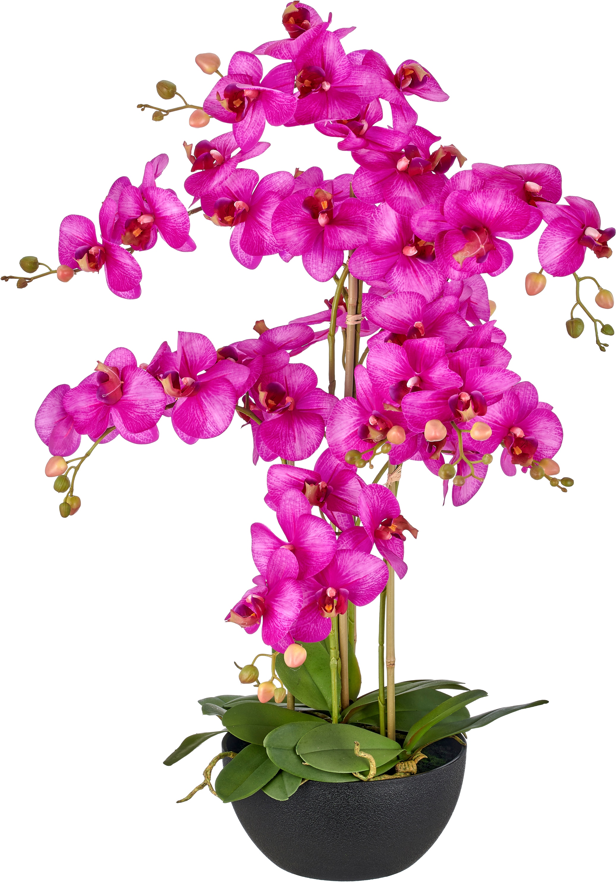 Creativ green Kunstorchidee »Phalaenopsis«