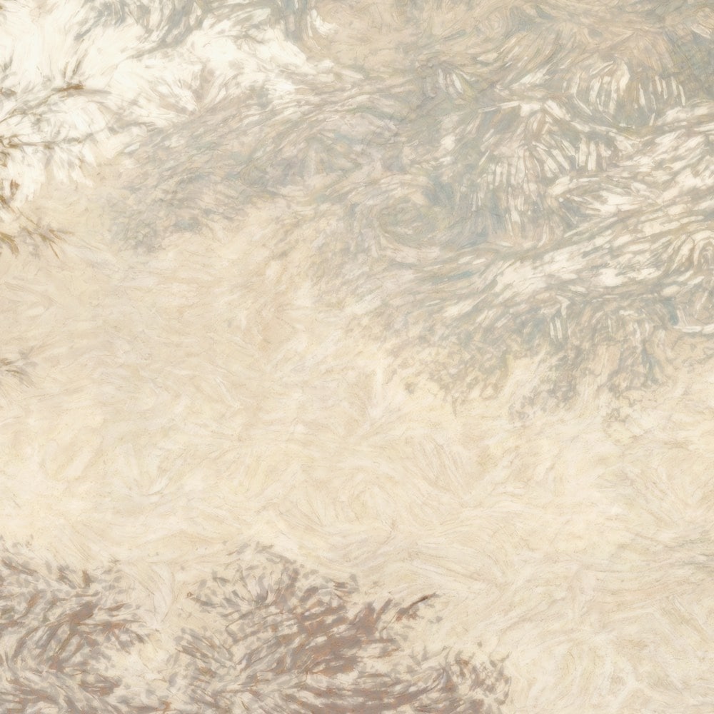 Komar Fototapete »Vlies Fototapete - Herbstwald - Größe 350 x 250 cm« Motiv | bedruckt glatt