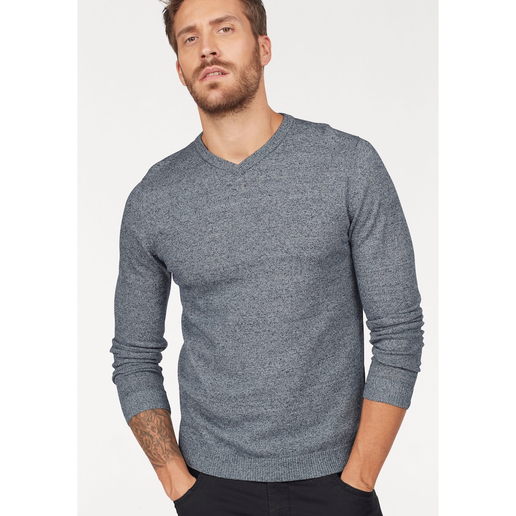 Jack & Jones V-Ausschnitt-Pullover »JJEBASIC KNIT V-NECK«