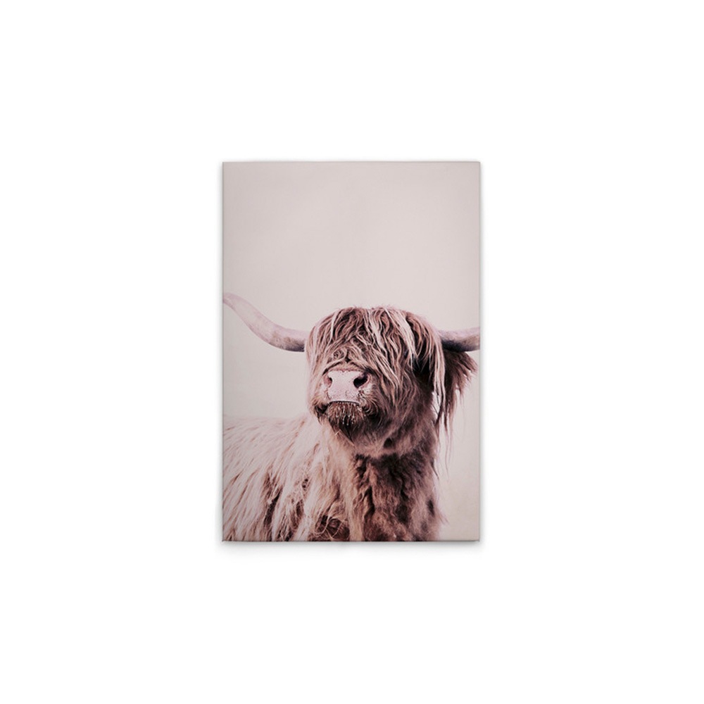 A.S. Création Leinwandbild »Highland Cattle 1 - Wandbild Creme Beige Keilra günstig online kaufen