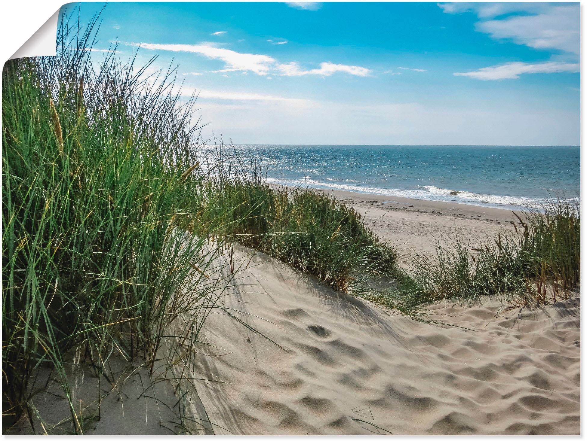 Artland Wandbild »Dünenlandschaft im Sommer an der Nordsee«, Strand, (1 St.), als Alubild, Outdoorbild, Leinwandbild, Poster, Wandaufkleber