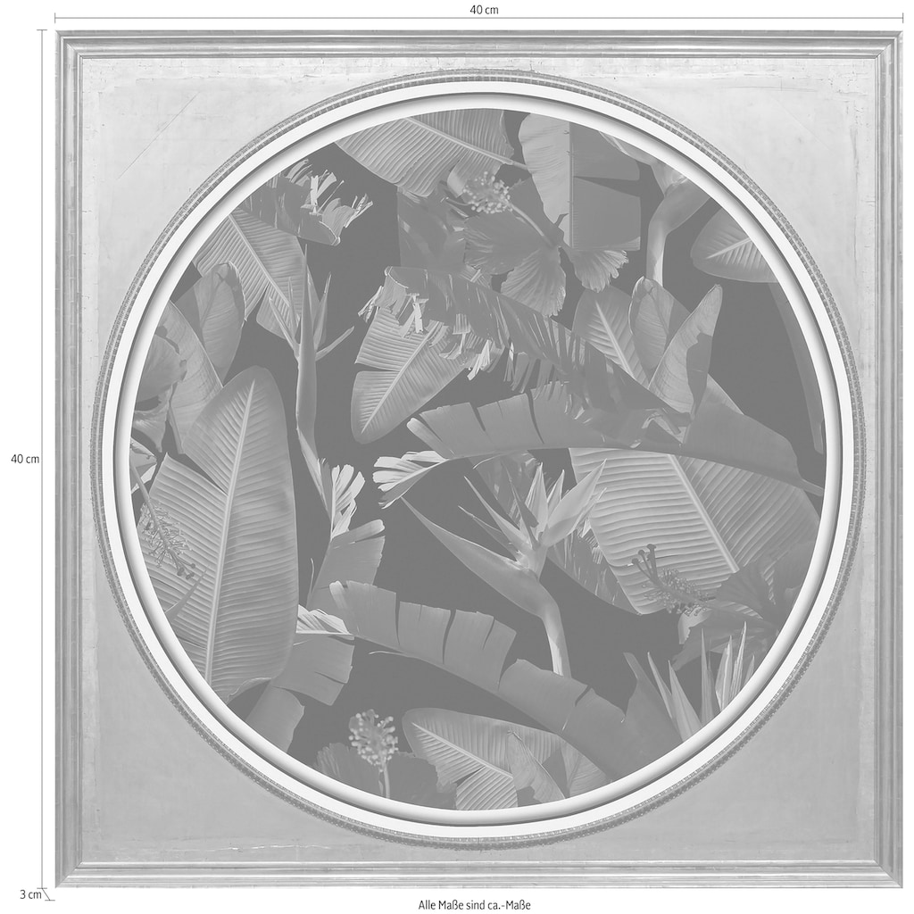 queence Acrylglasbild »Tropische Pflanzen II«
