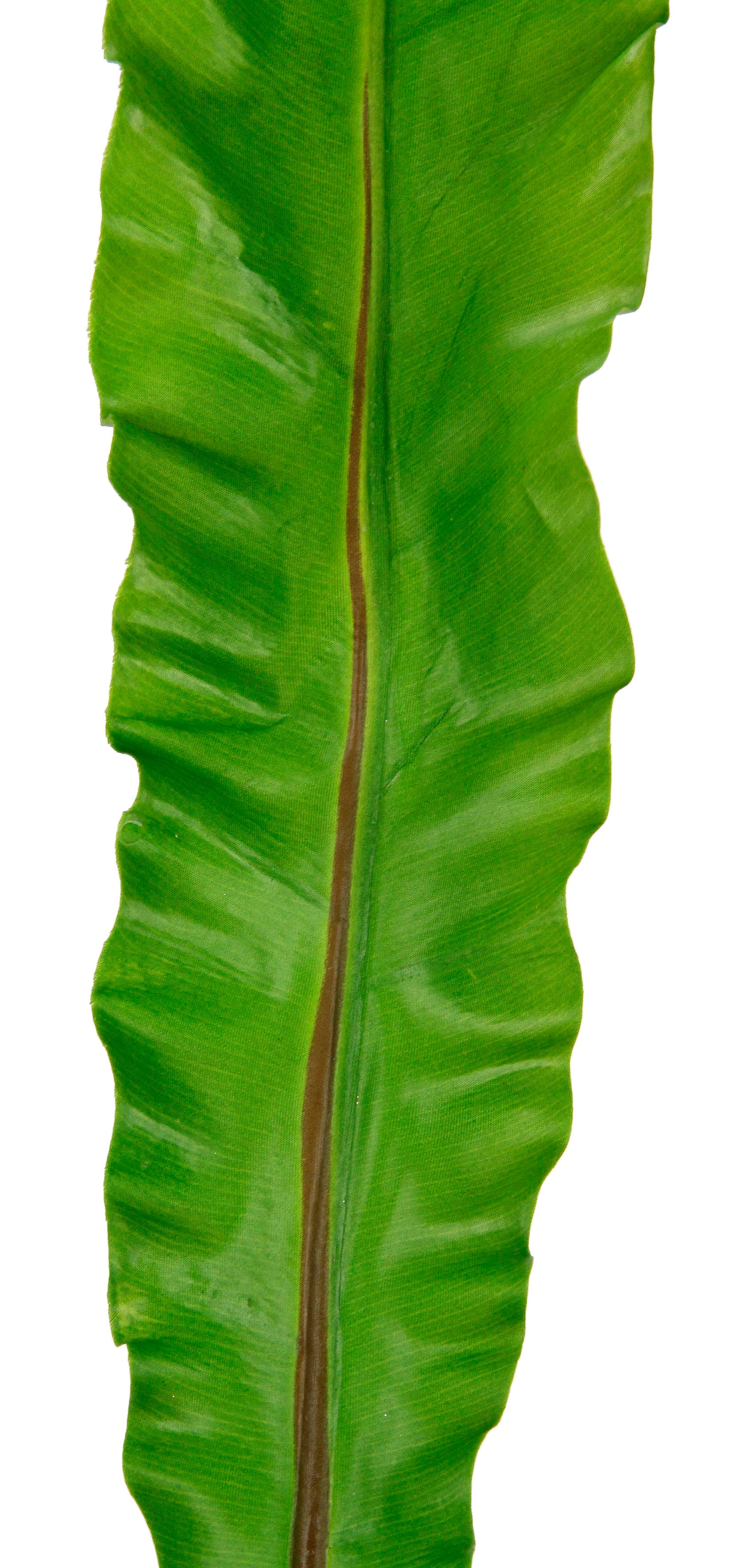 I.GE.A. Kunstpflanze »Nestfarnblatt«, Monstera, Kunstzweig, 3er Set