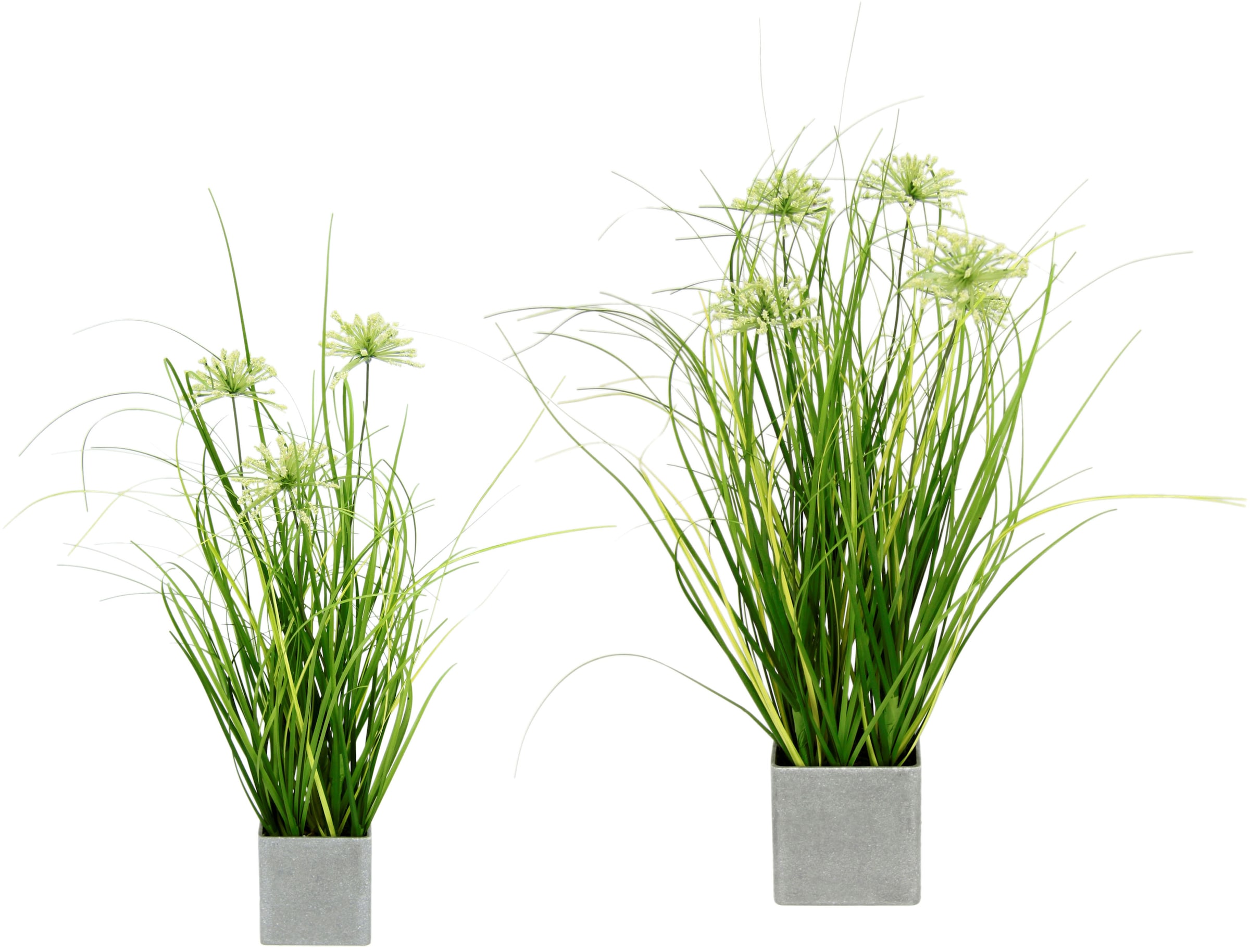 I.GE.A. Kunstpflanze auf Set Rechnung kaufen 2er »Gras«