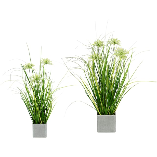 I.GE.A. Kunstpflanze »Gras«, 2er Set auf Rechnung kaufen