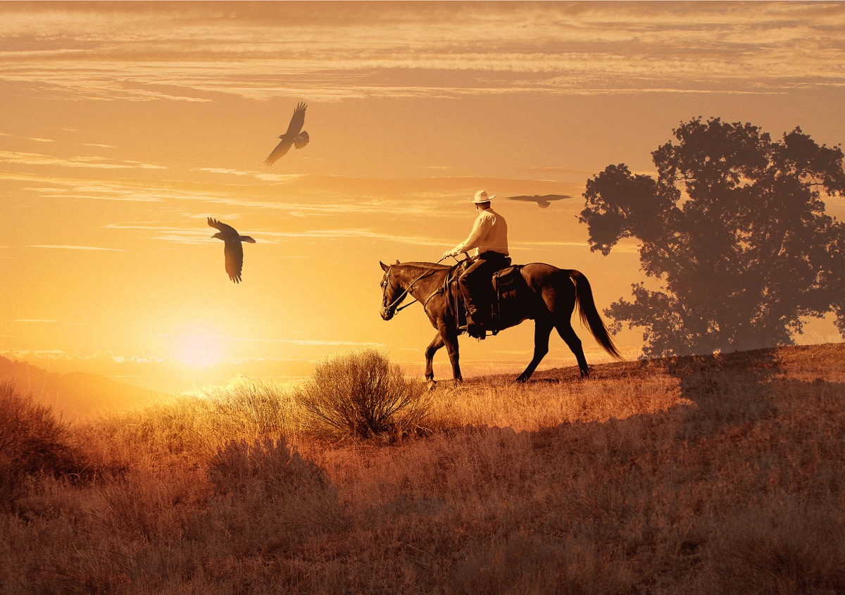 Papermoon Fototapete »Cowboy« günstig online kaufen