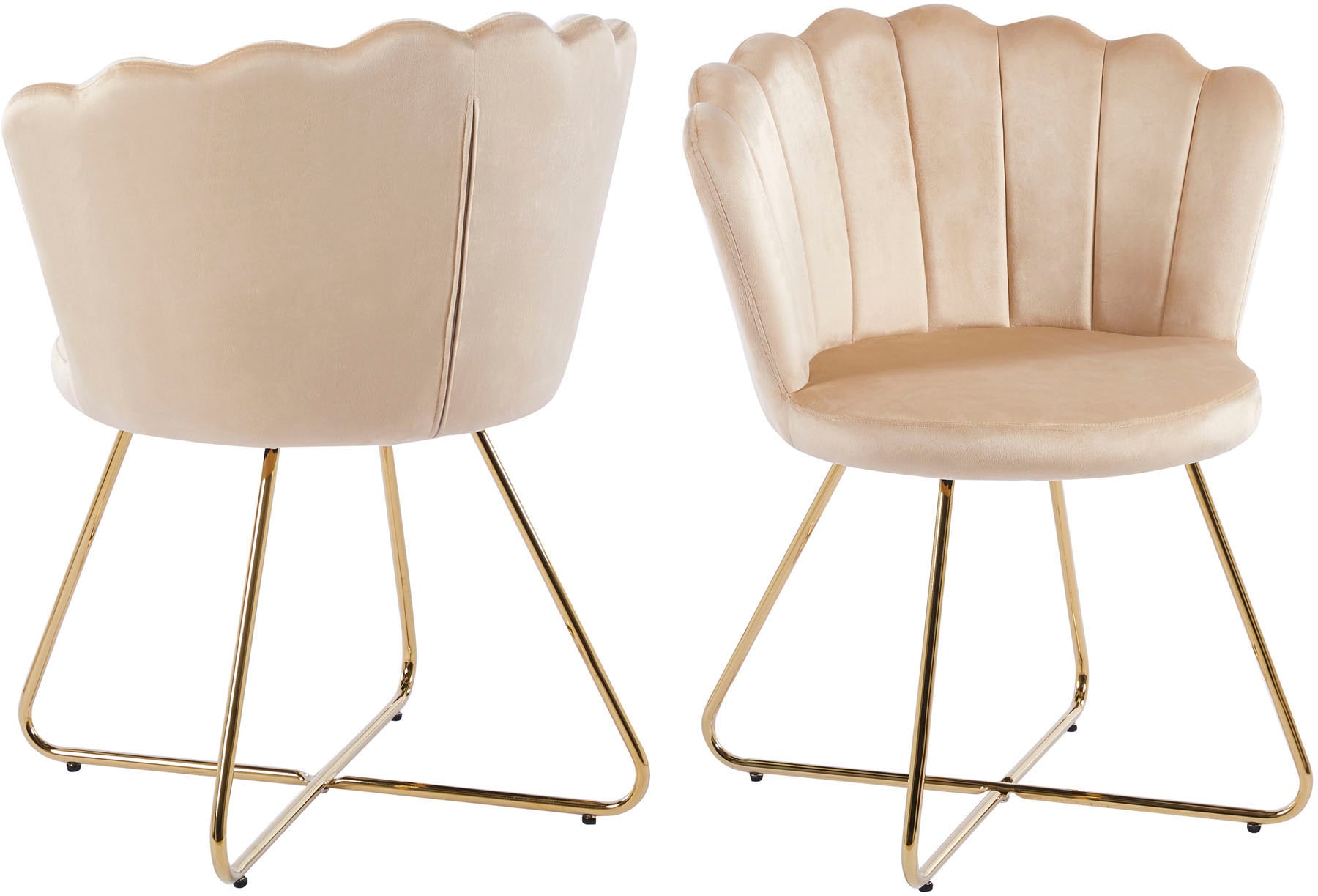 SalesFever Polsterstuhl, (Set), 2 St., Samt, Muschel-Design