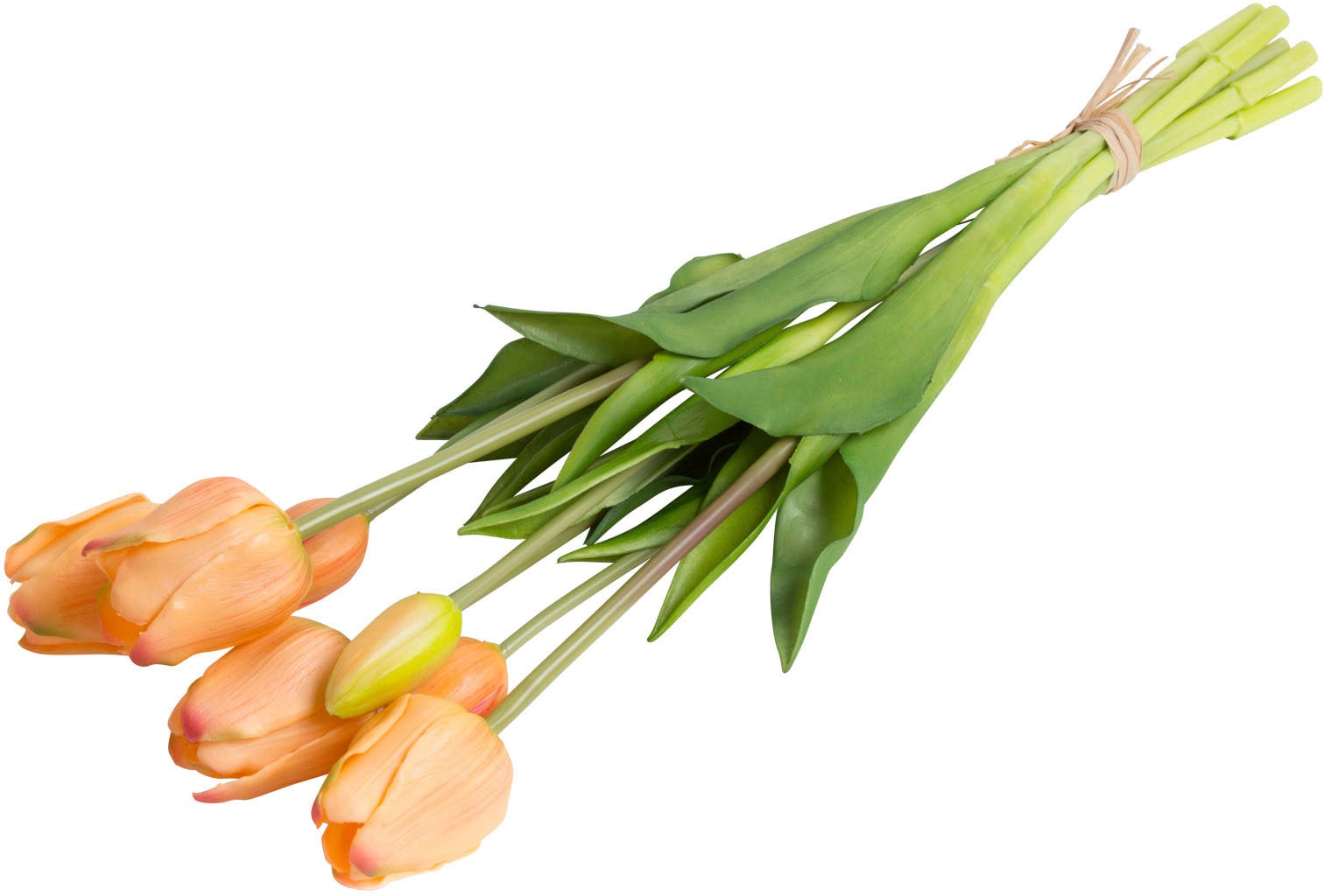 Botanic-Haus Kunstblume »Tulpenbündel real Touch«