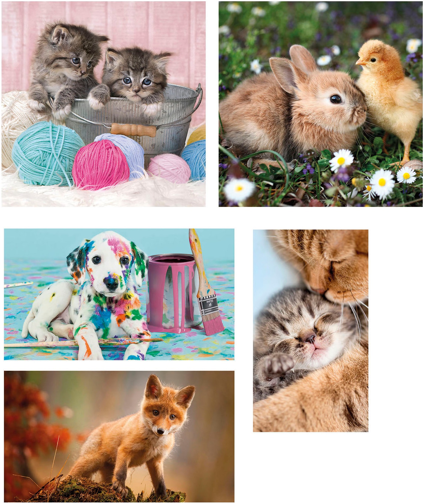 Clementoni® Puzzle »10in1 Supercolor, Noli, Tierfreunde«, Made in Europe