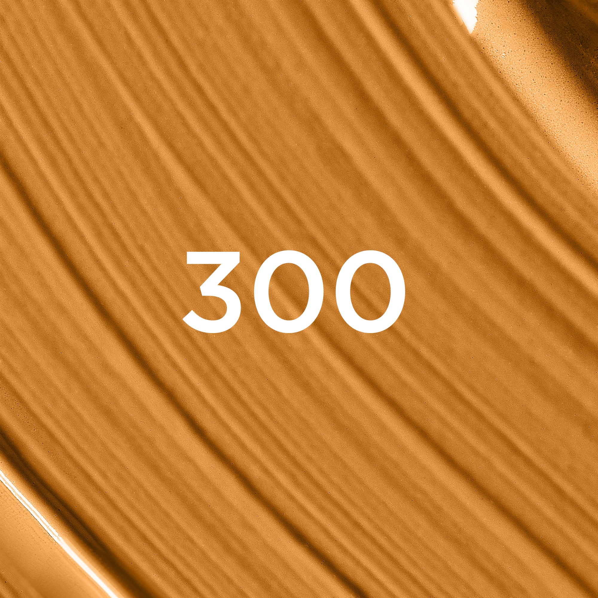 L'ORÉAL PARIS Foundation »L'Oréal Paris Infaillible Skin Ink Foundcealer 300 Medium Warm«