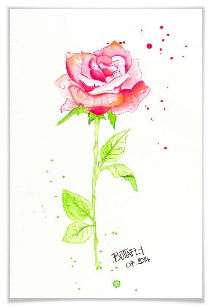 Poster Wandbild, Poster, »Rose«, (1 St.), kaufen Wall-Art Wandposter Blumen, Bild,