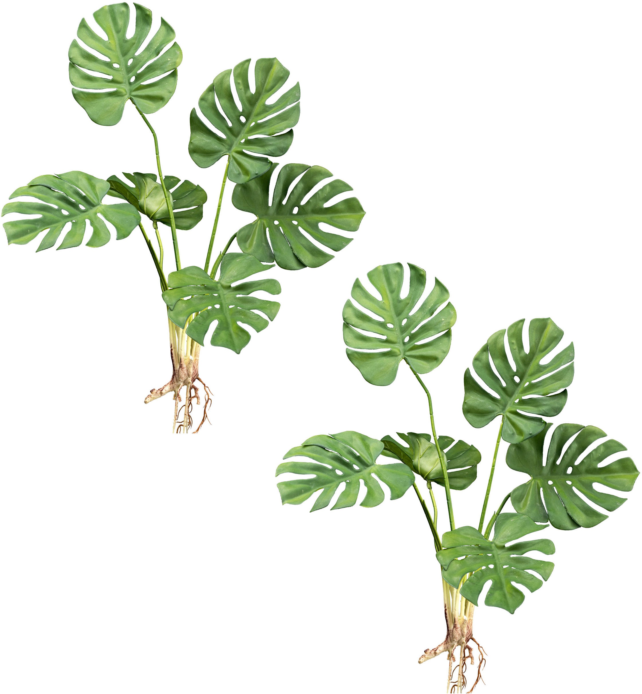 Creativ green Kunstpflanze »Splitphilodendron«, mit detailgetreuem Blattwerk und Wurzeln