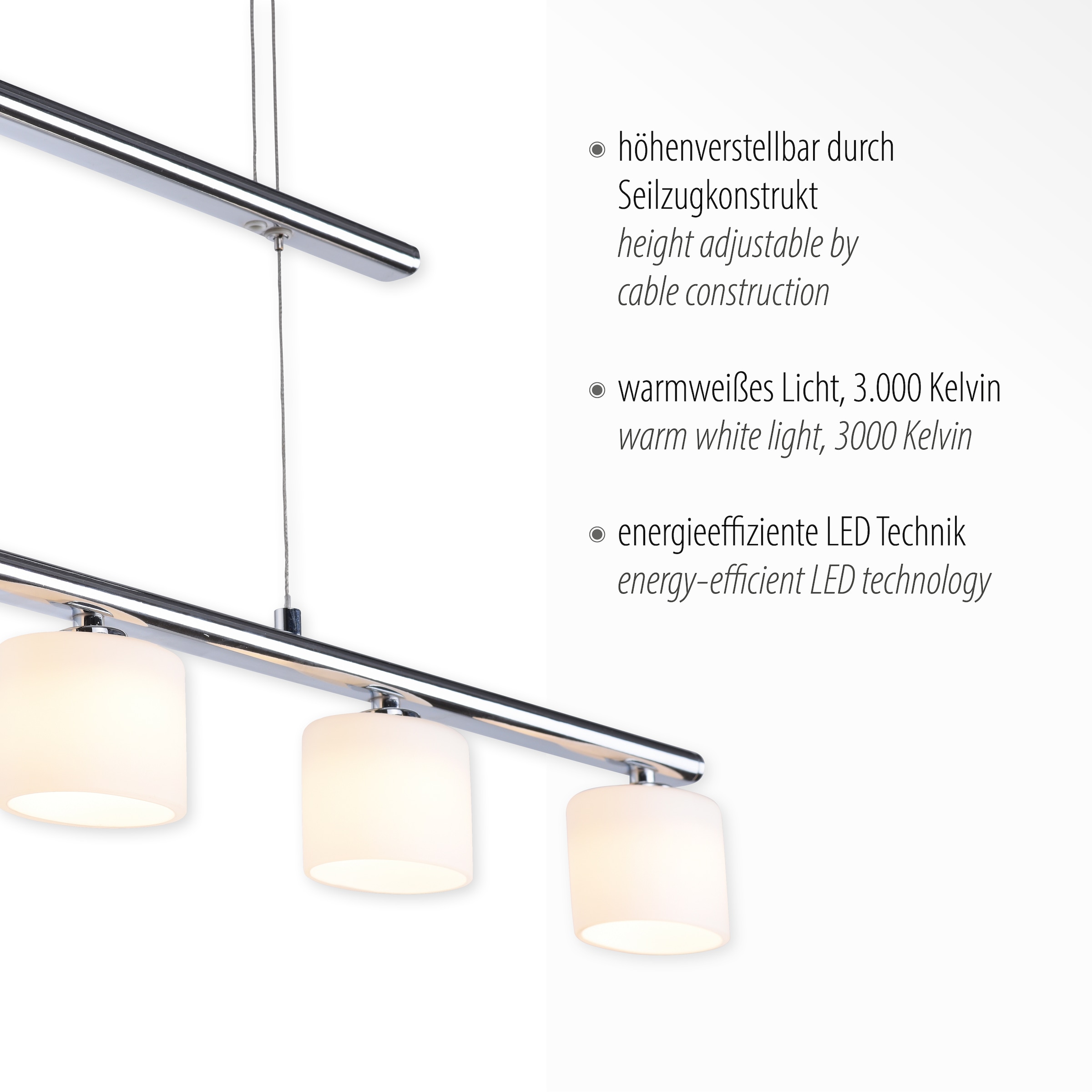 Paul Neuhaus Pendelleuchte »HYDRA«, 5 flammig, Leuchtmittel LED-Board | LED fest integriert, LED