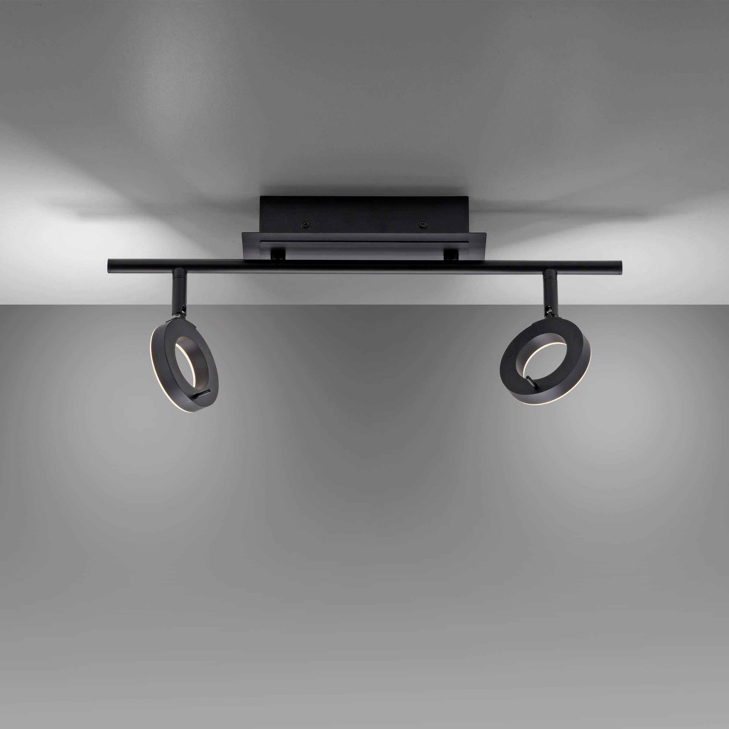Paul Neuhaus Deckenleuchte »SILEDA«, 2 flammig, Leuchtmittel LED-Board | LED fest integriert, inkl. festverbaute LED, IP44, Spotköpfe verstellbar