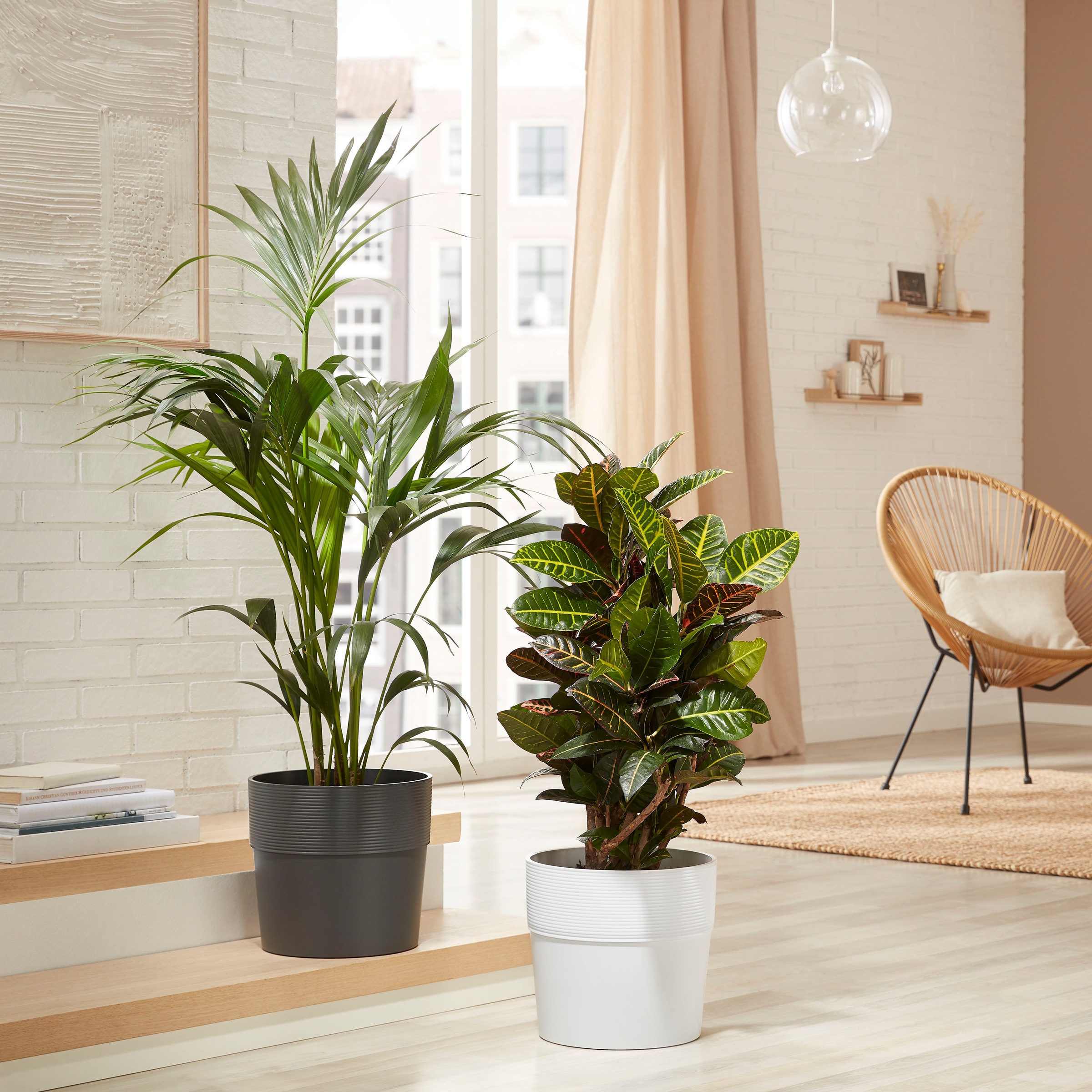 Scheurich Blumentopf »BIANCO 40/224«, ØxH: 38x35,2 cm